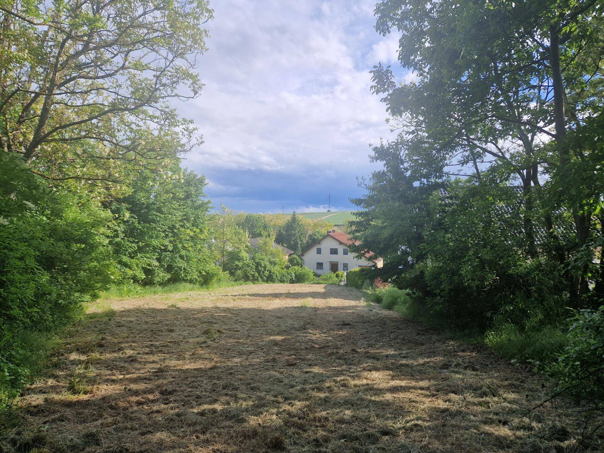 Ansicht2