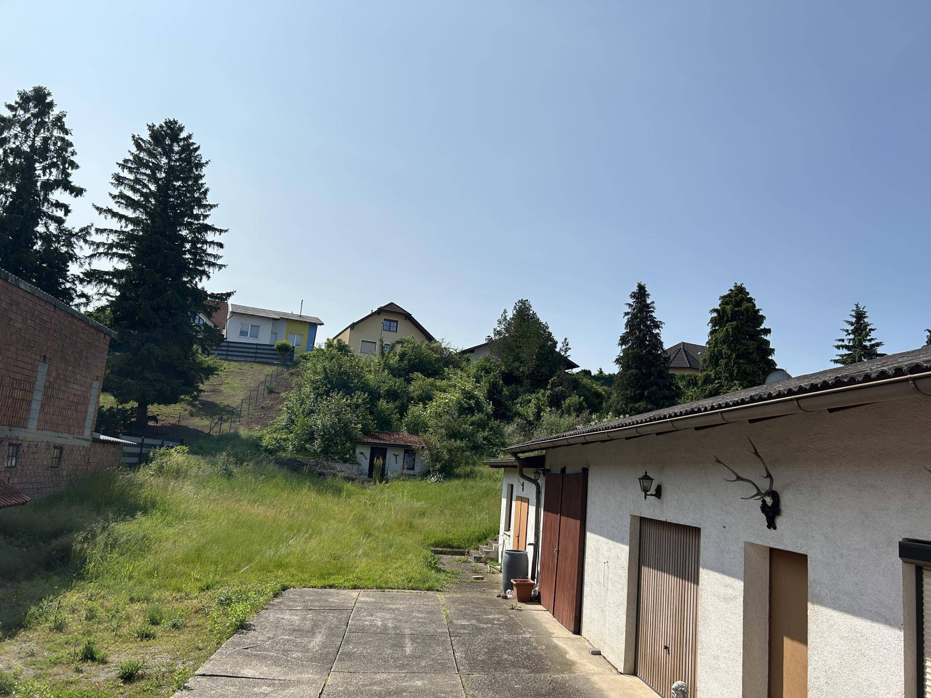Blick in den Garten