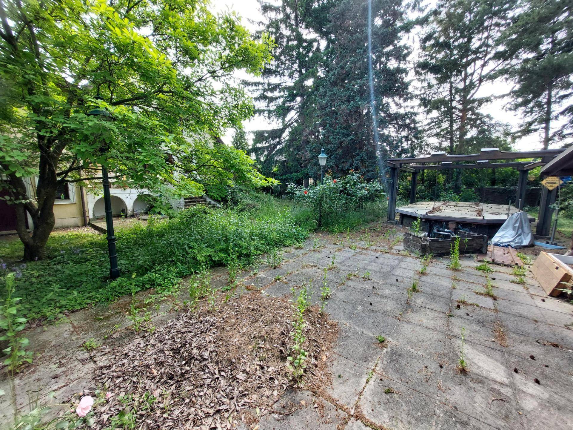 Garten mit Pool