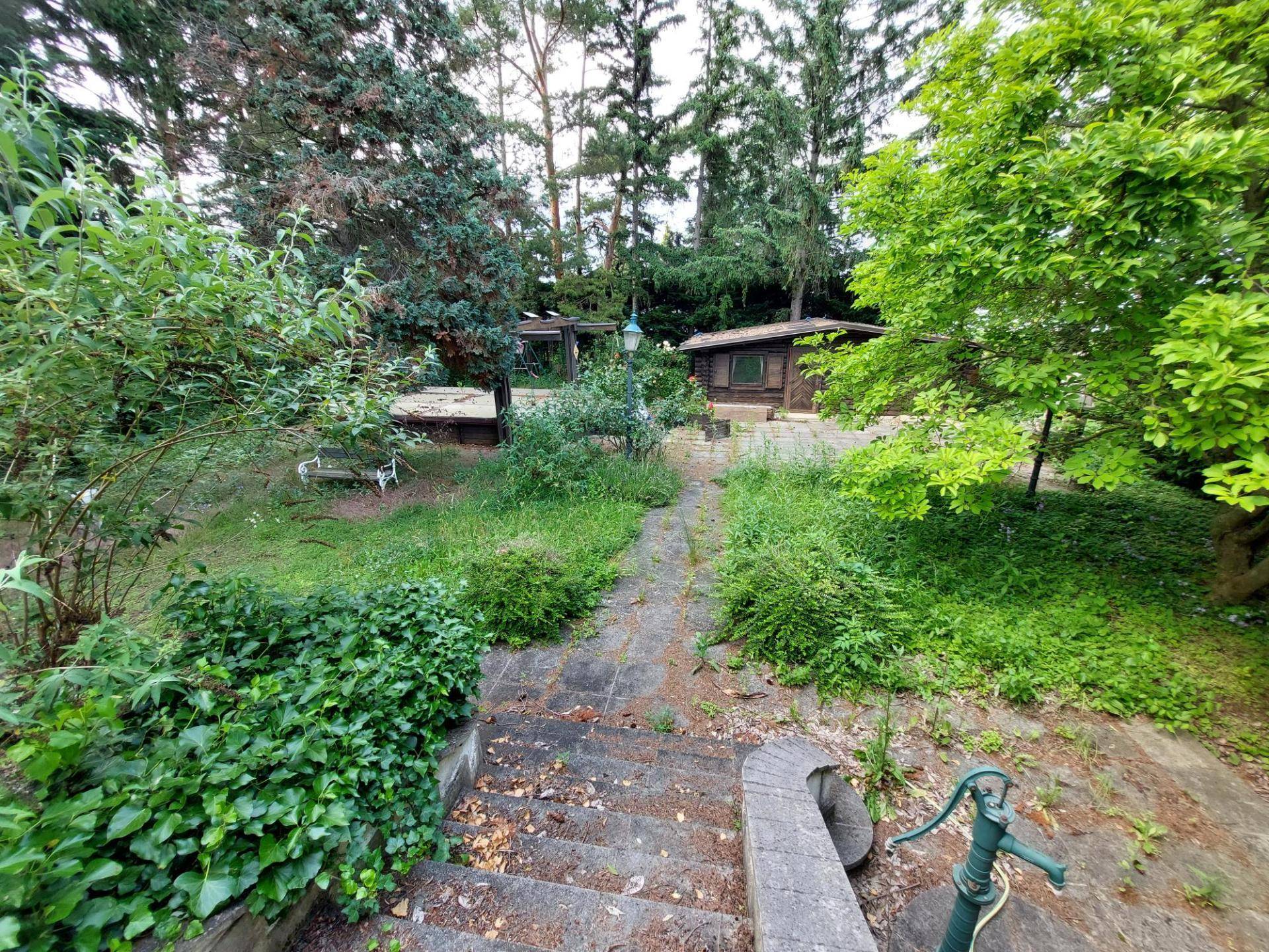 Blick von der Terrasse in den Garten