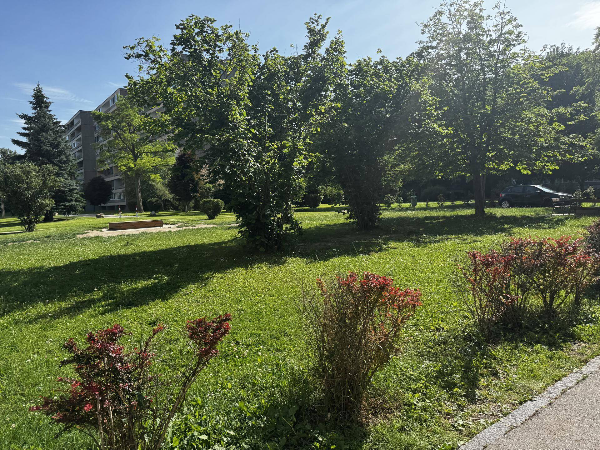 Gemeinschaftsgarten