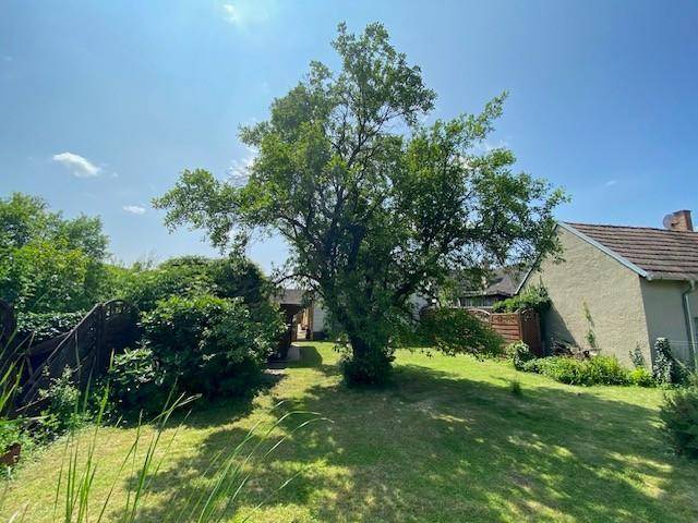 Gartenbild