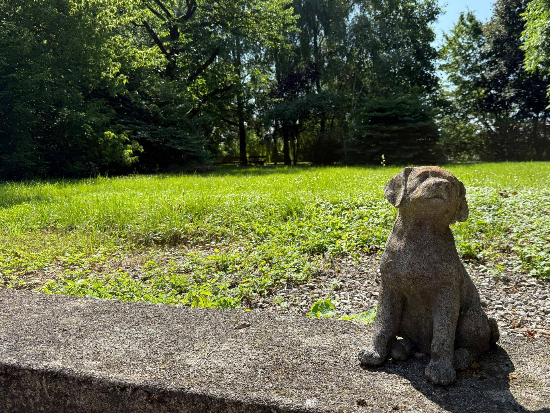 Blick gen Park