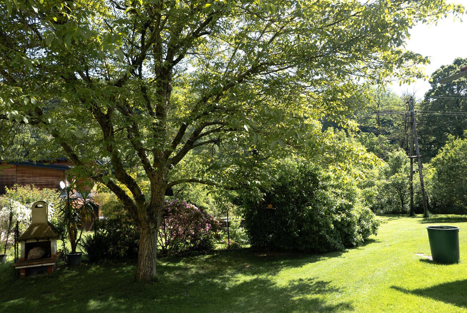 Garten01