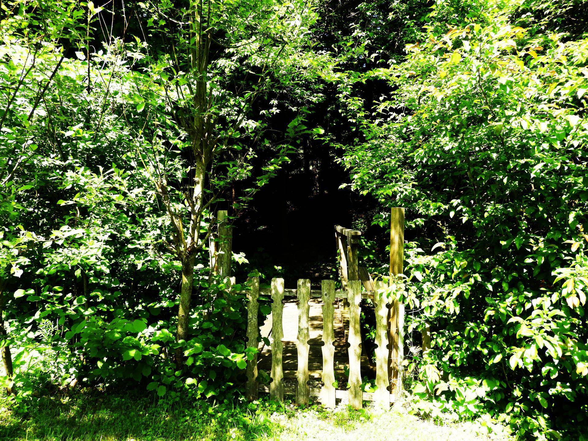 Garten03_Bach