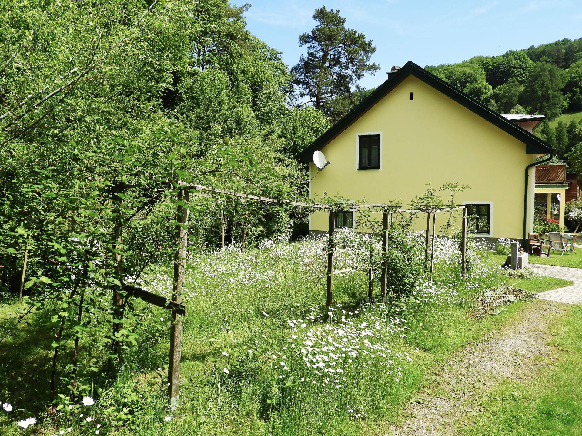 Garten04