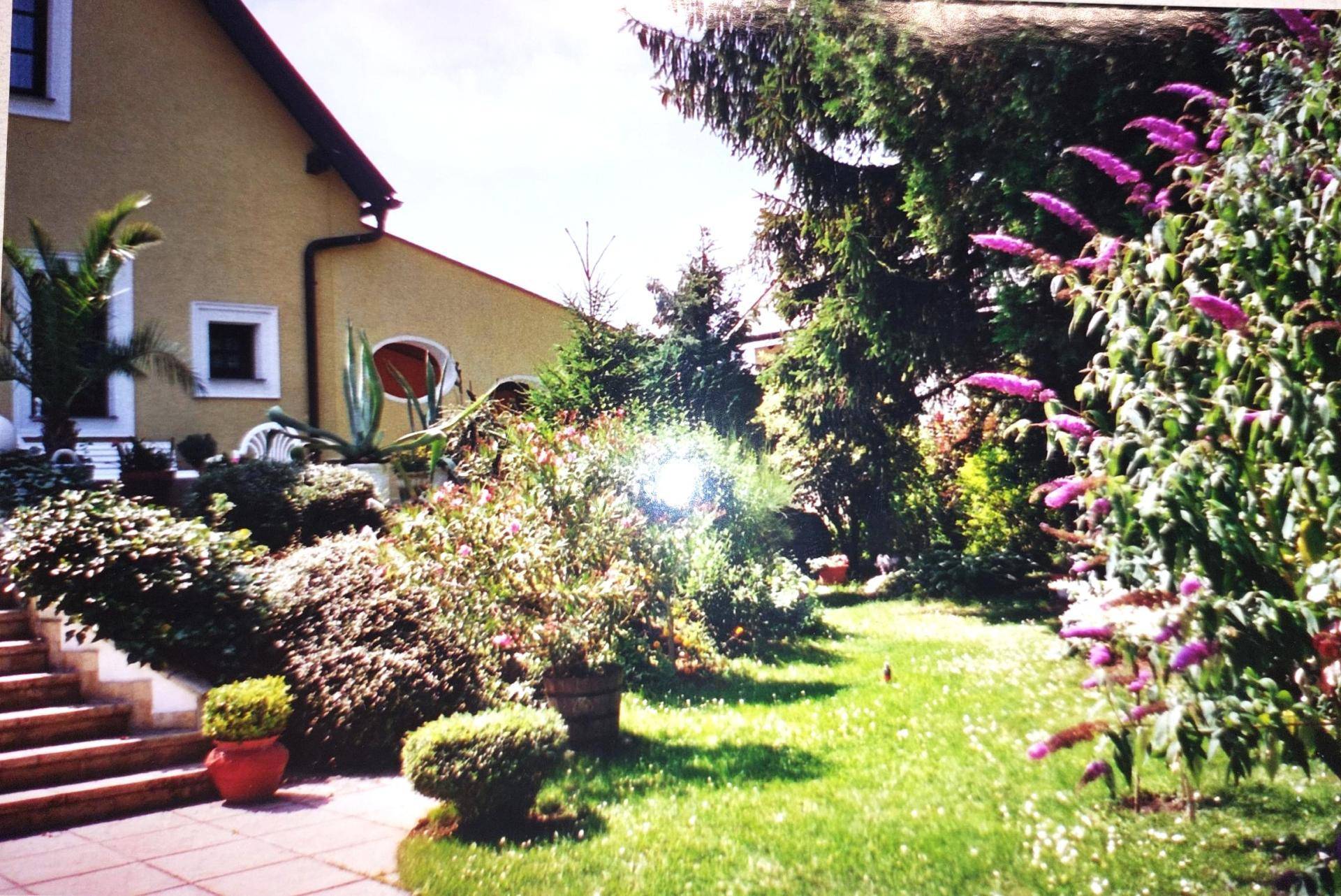 Garten 2009