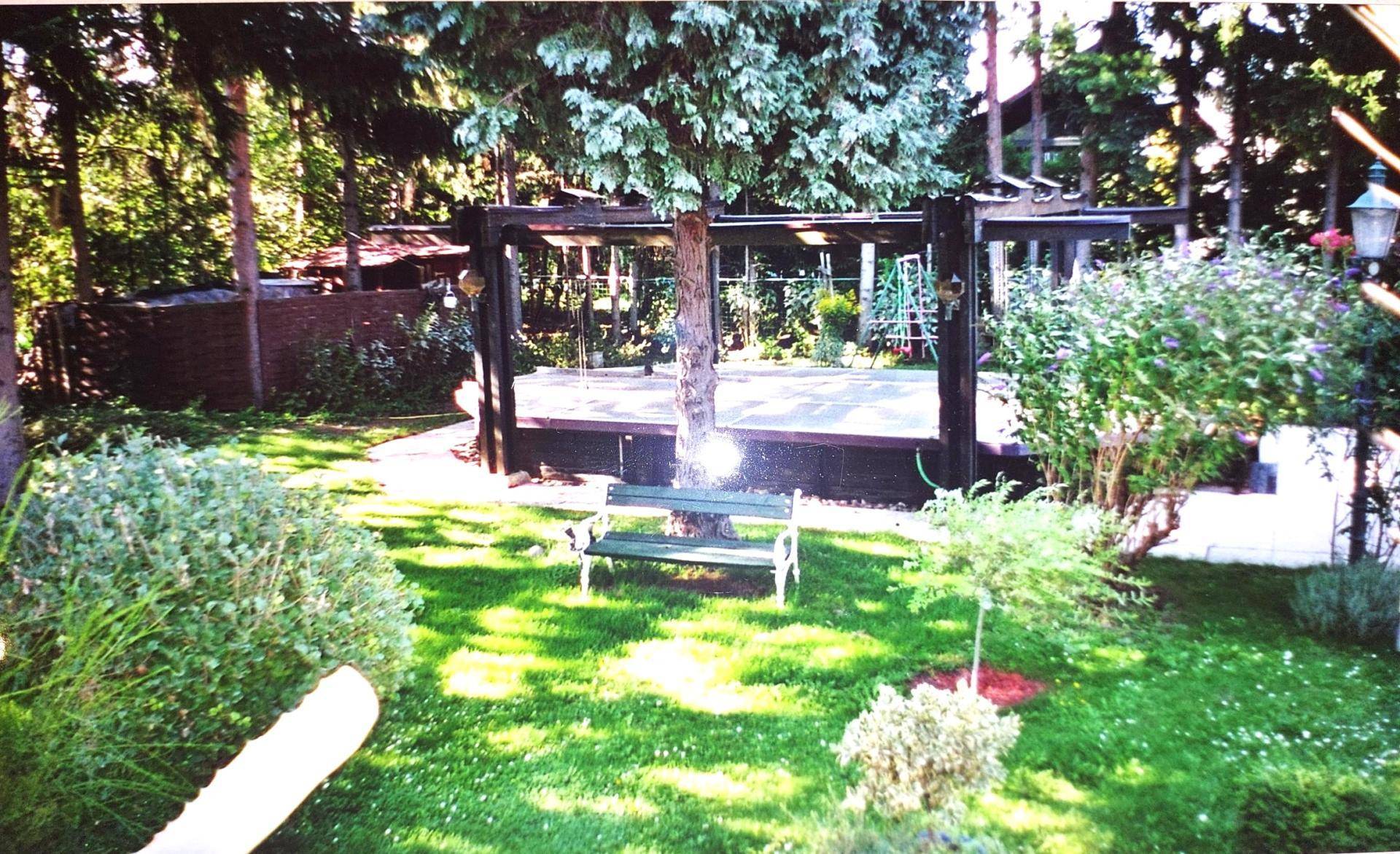 Garten Pool 2009