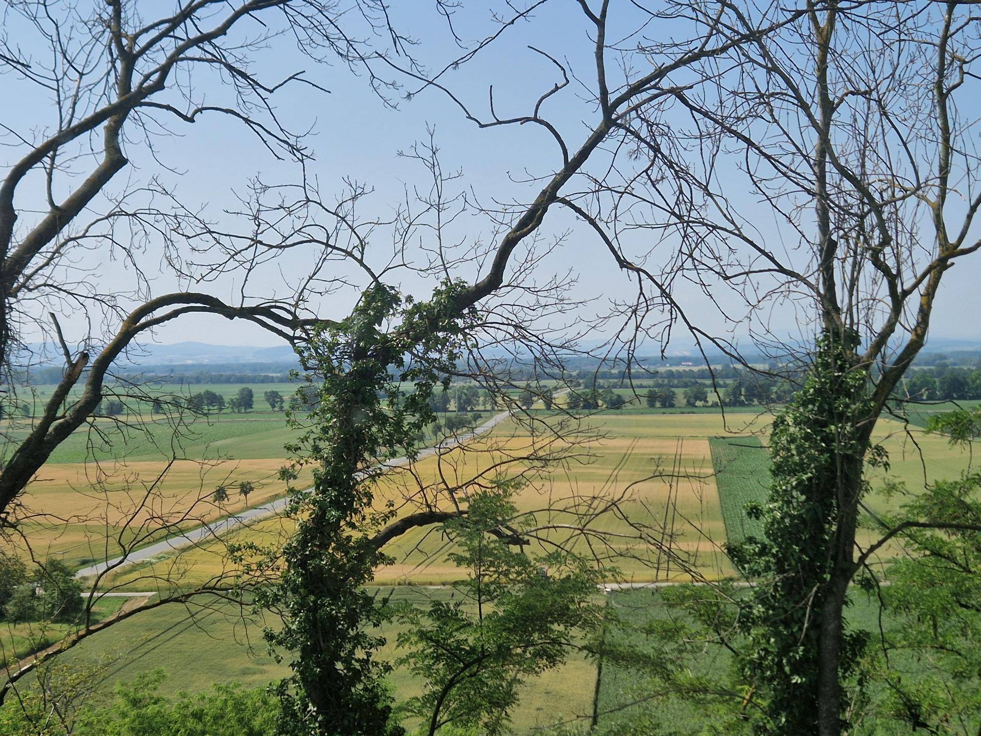 Ansicht8