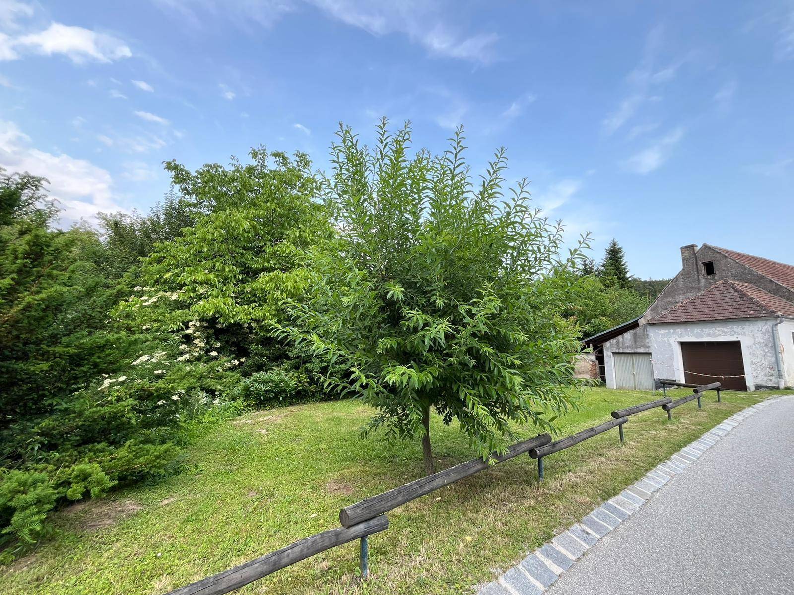 Ansicht3