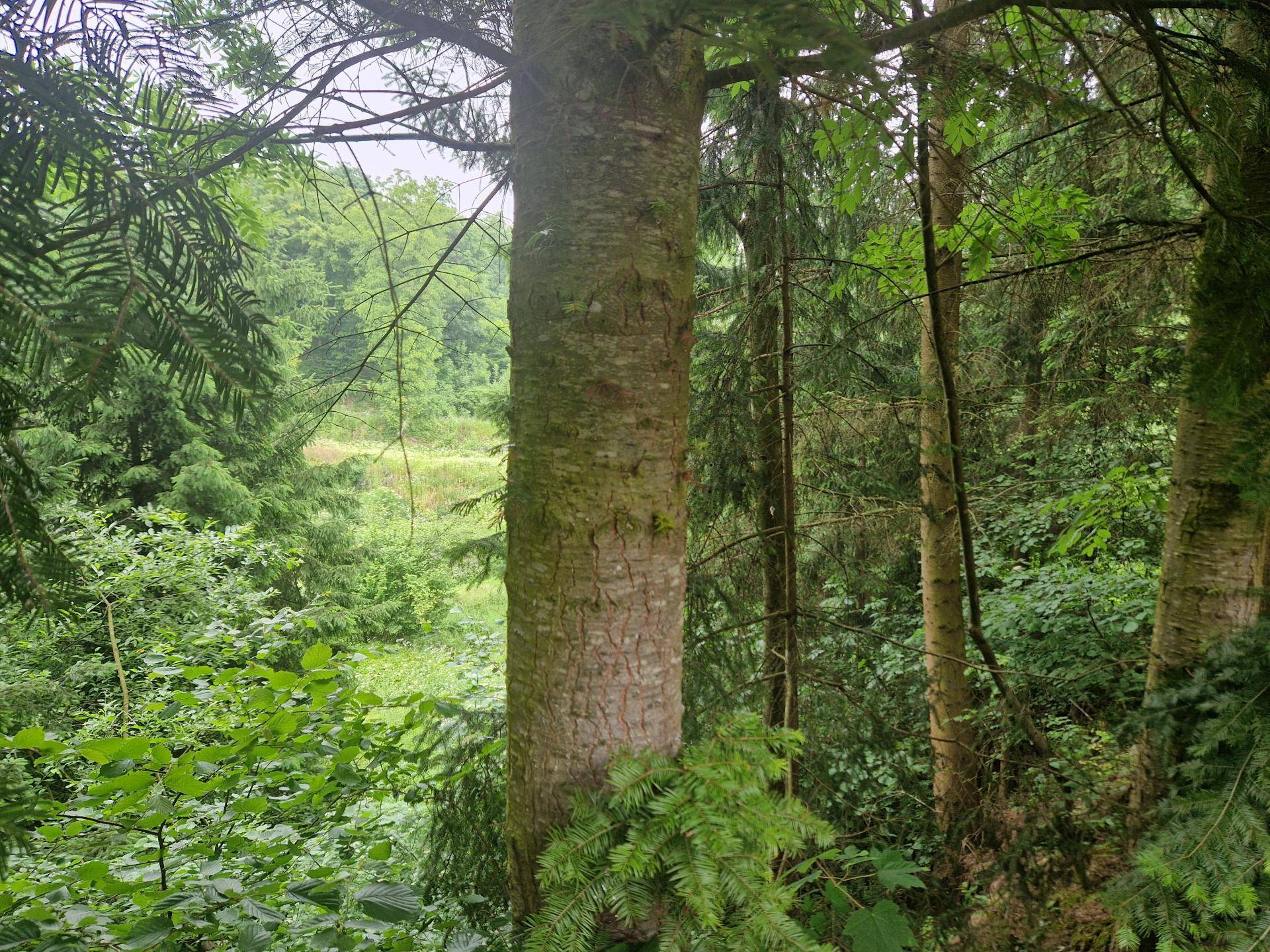 Ansicht10