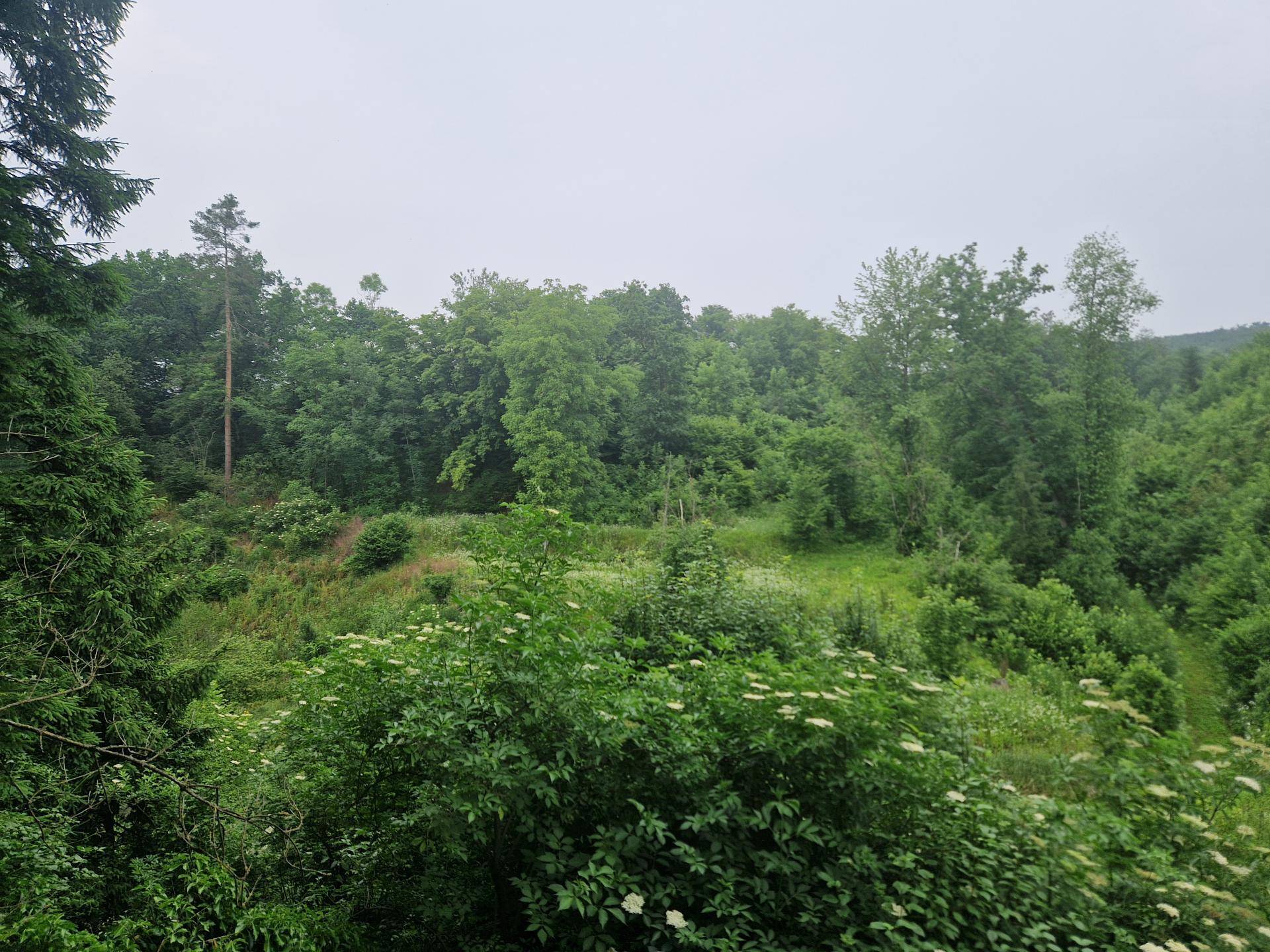 Ansicht9