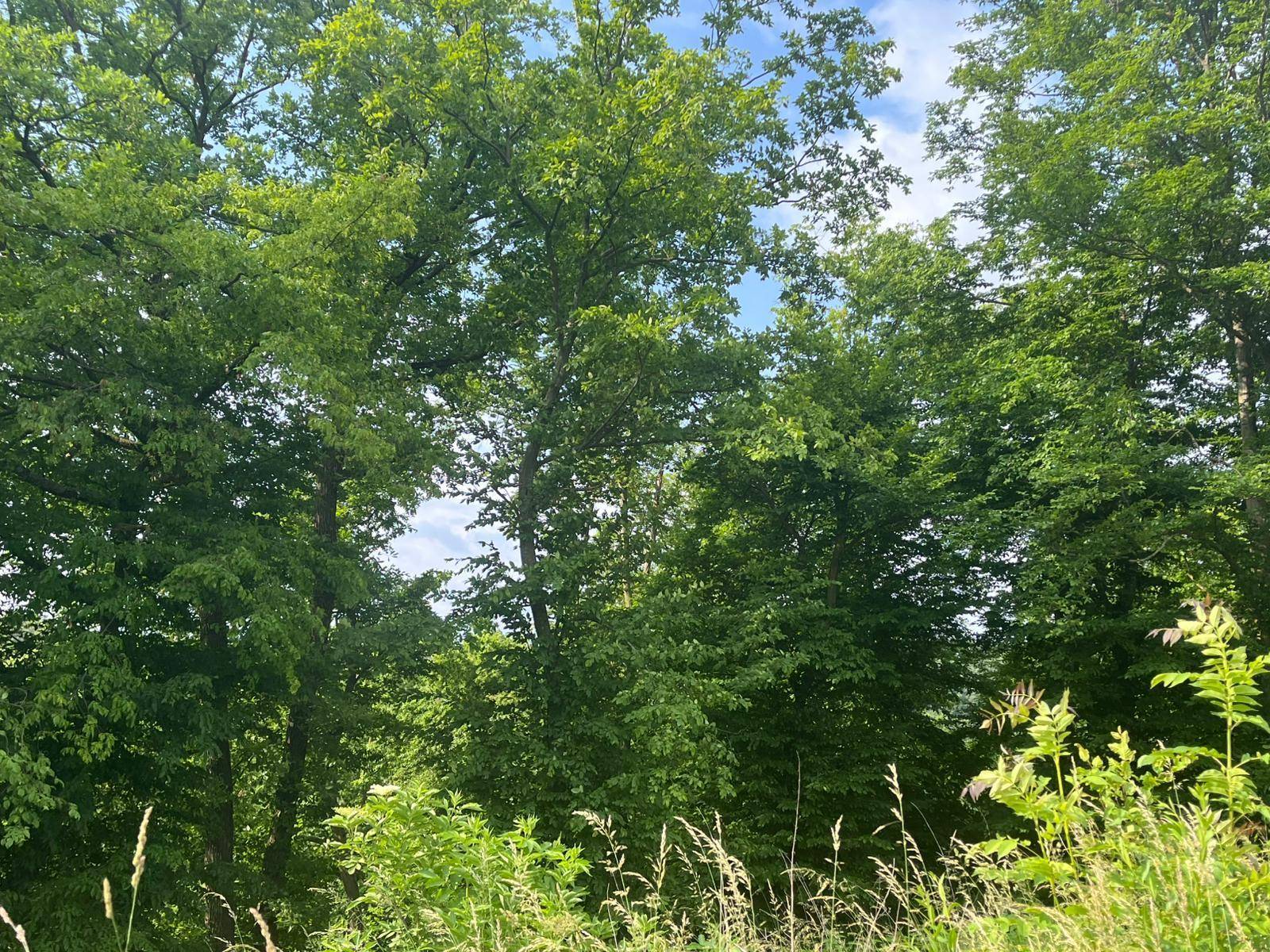 Ansicht11