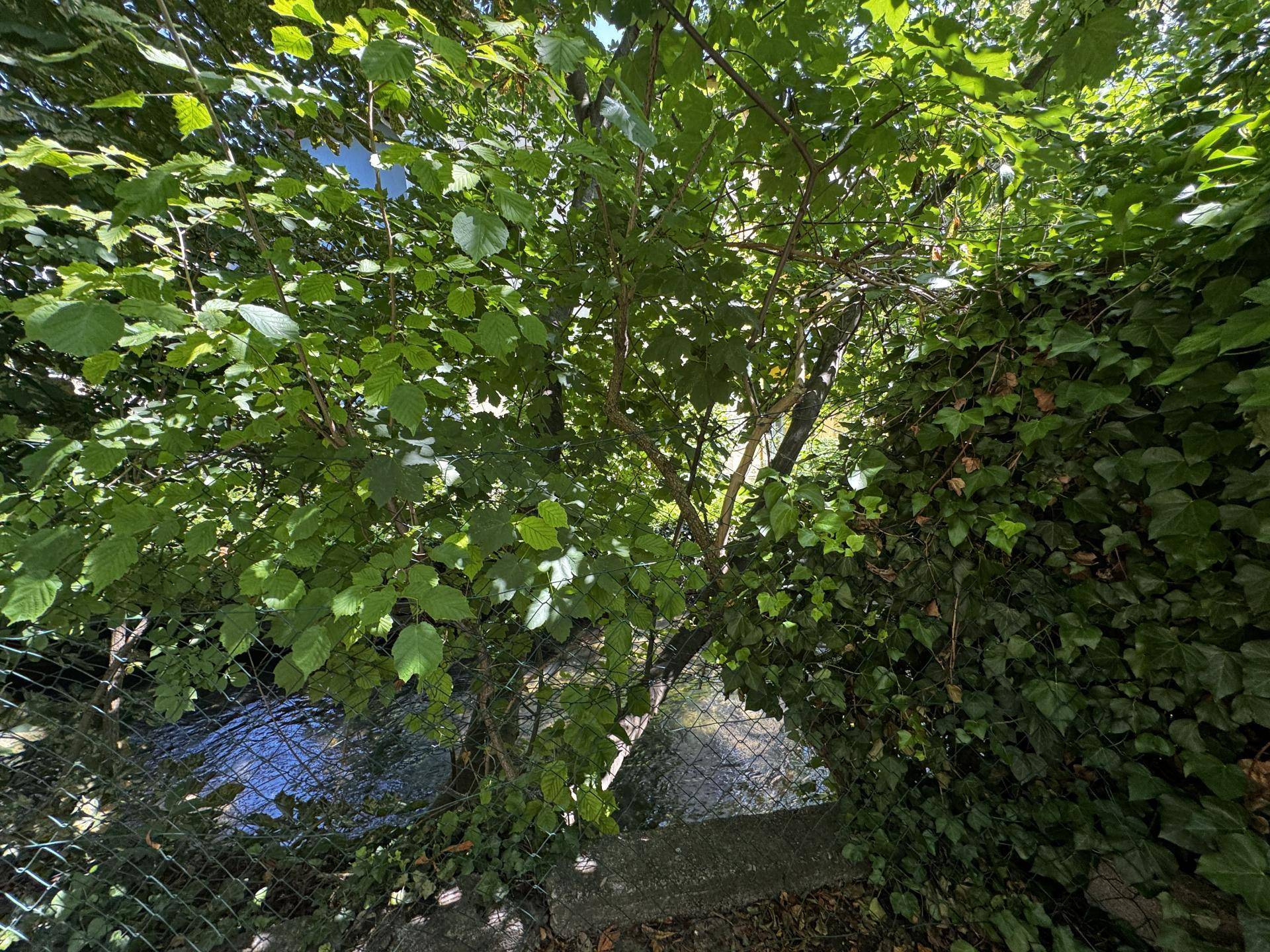 Blick auf einen kleinen Bach, umgeben von dichtem Grün und Bäumen, hinter einem Zaun.