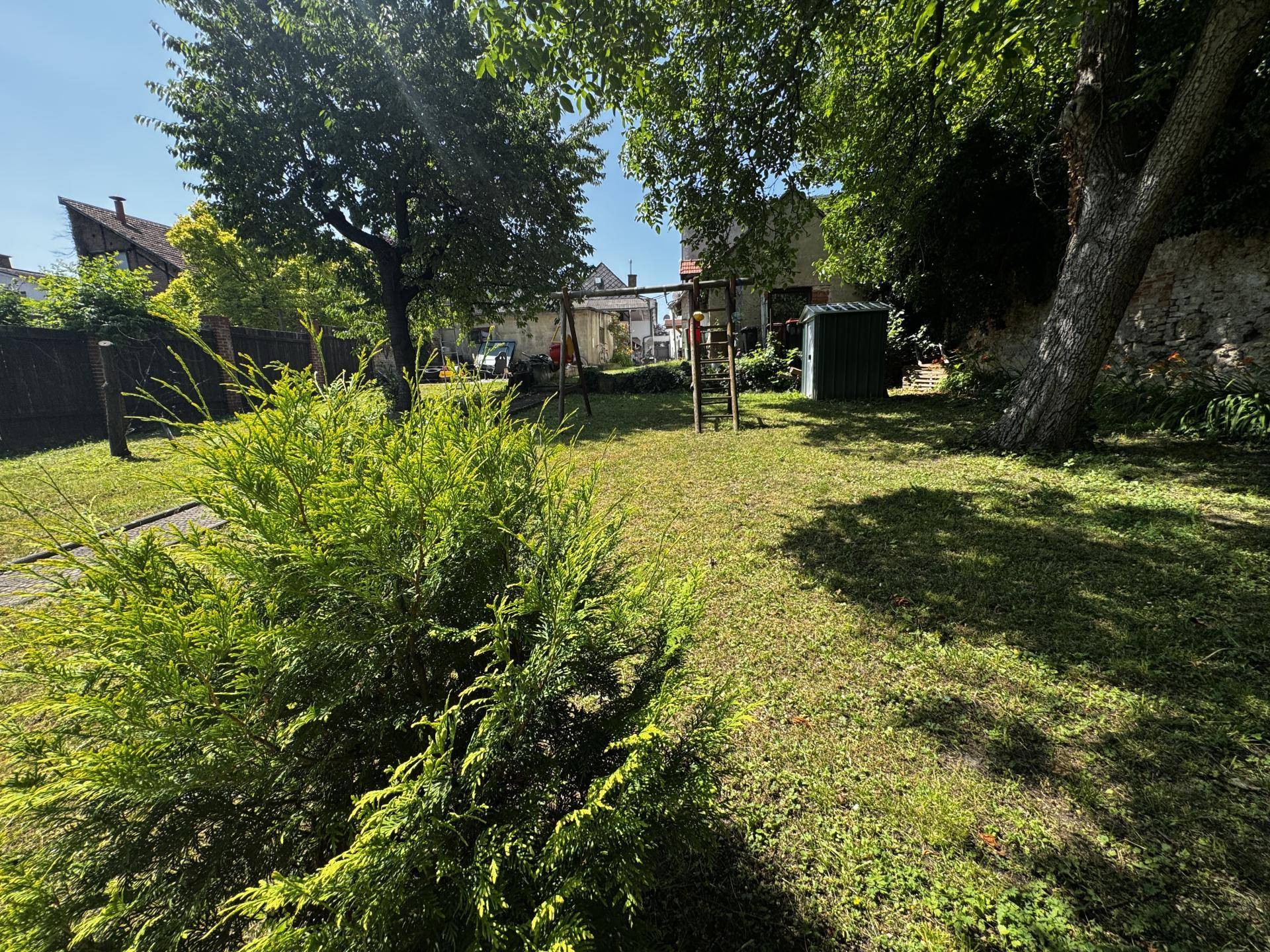 Grüner Garten mit Bäumen, einer Schaukel und einem kleinen Geräteschuppen.