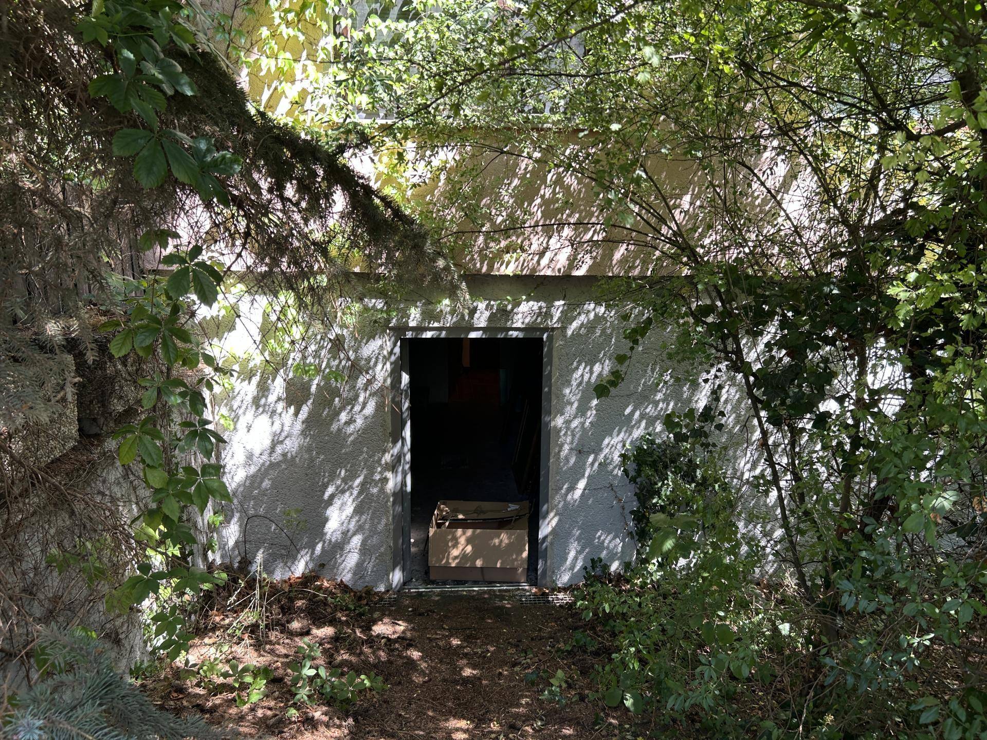 Kellerzugang 2