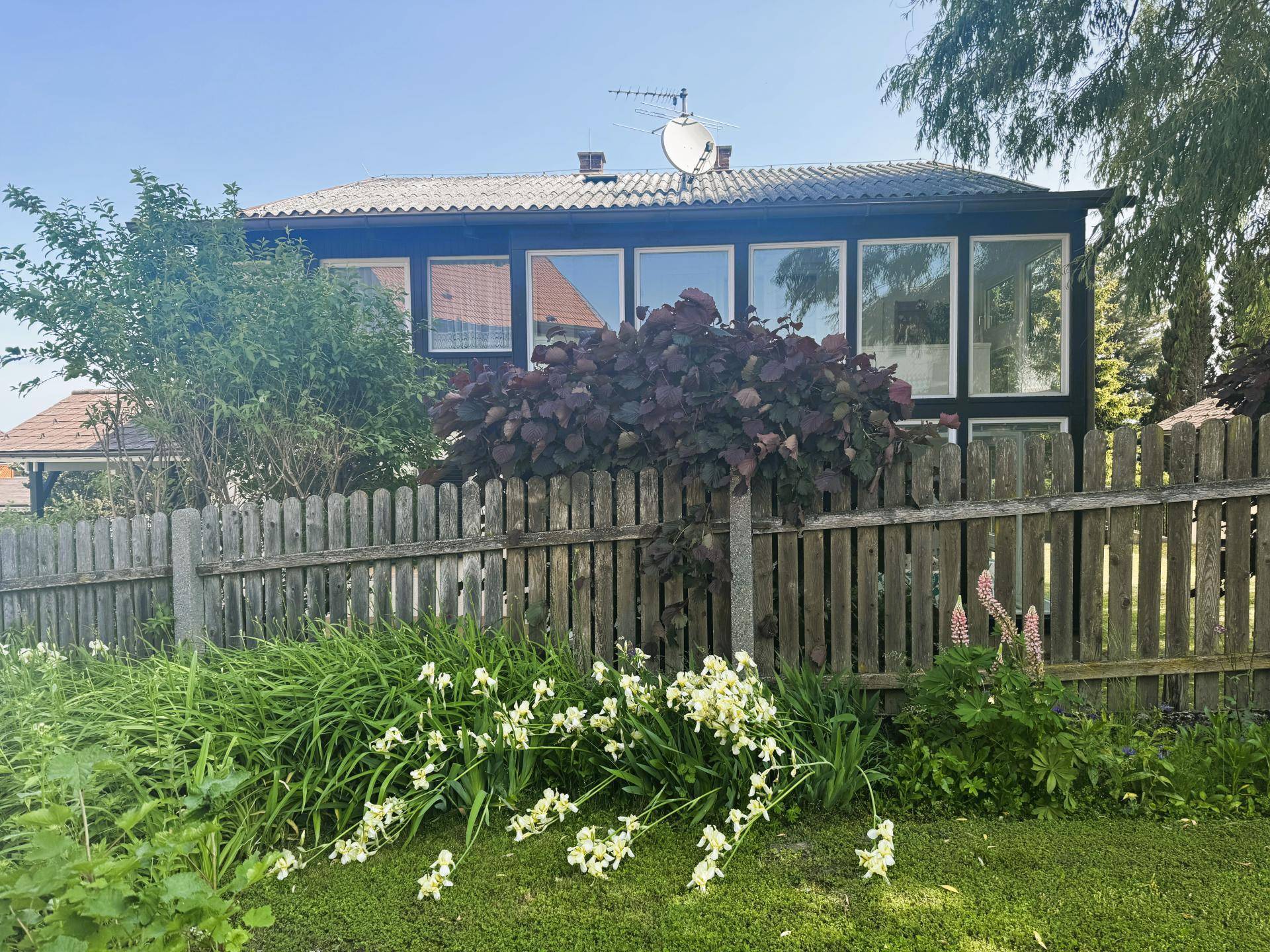 Rückseite des Hauses mit Holzzaun, üppiger Bepflanzung und großen Fenstern.