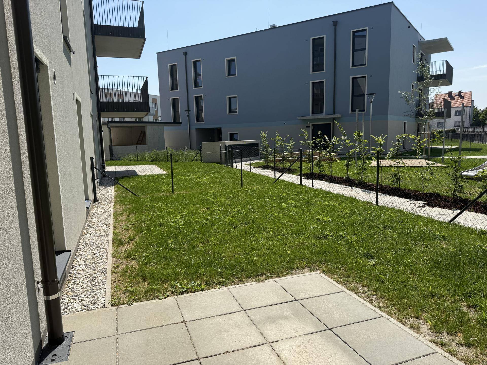 Gepflegter Gartenbereich mit Rasenfläche und gepflasterter Terrasse vor dem modernen Neubau.