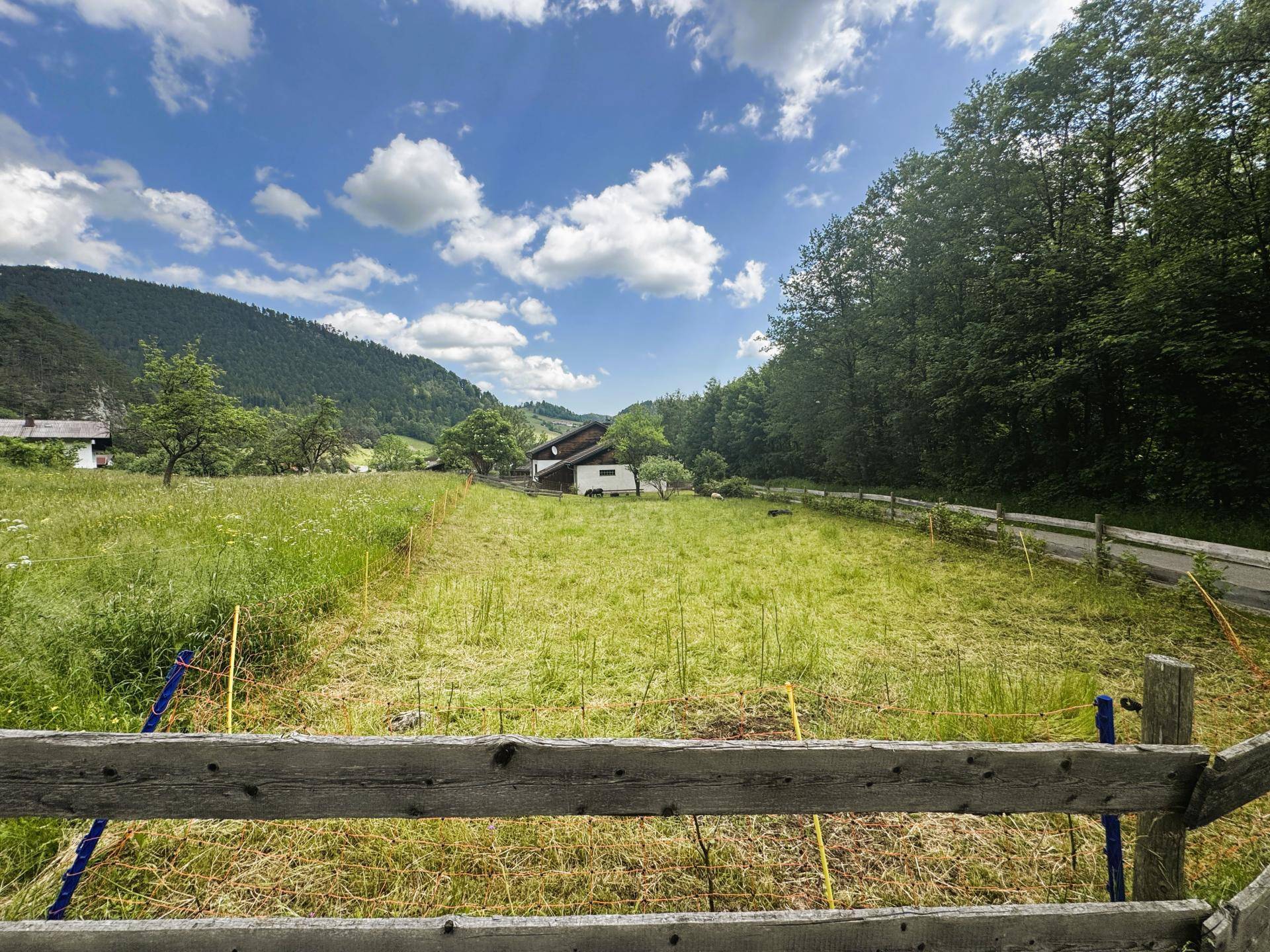 Weitläufiges Grundstück mit ländlichem Haus, umgeben von Wiesen und bewaldeten Hügeln.