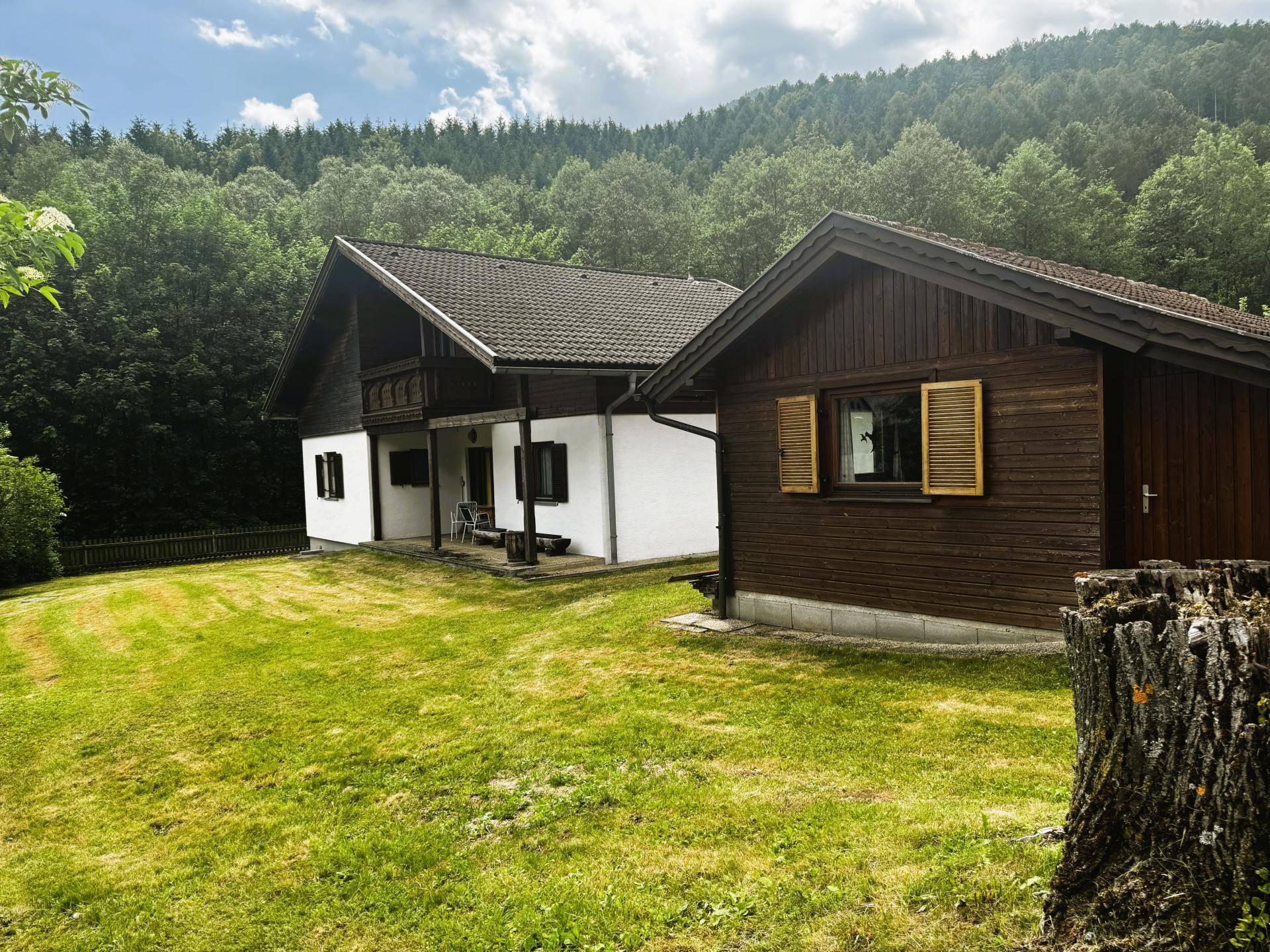 von Wald umgeben
