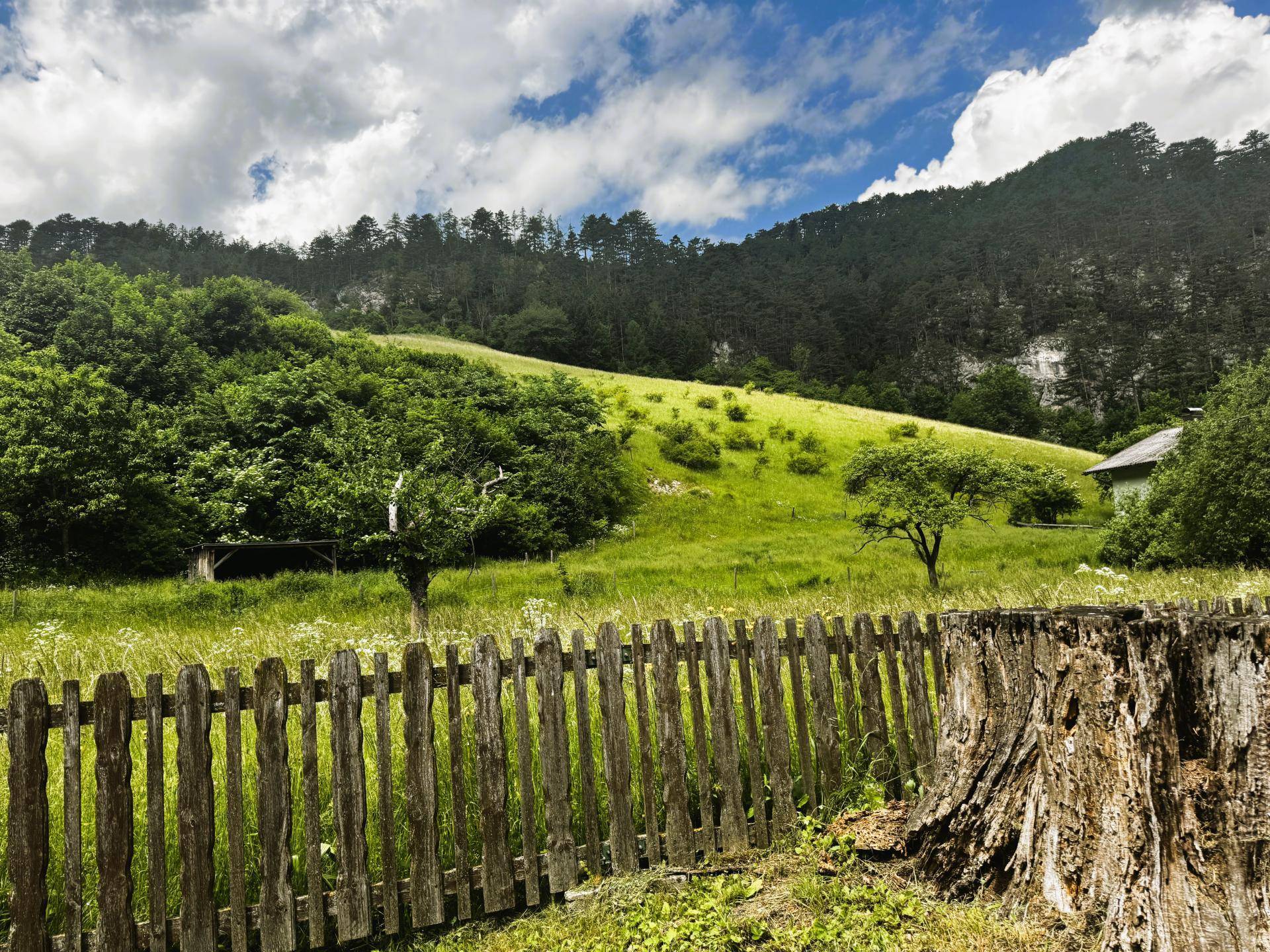 Rustikaler Holzzaun und Baumstumpf im Vordergrund, mit grünen Hügeln und Wald im Hintergrund.