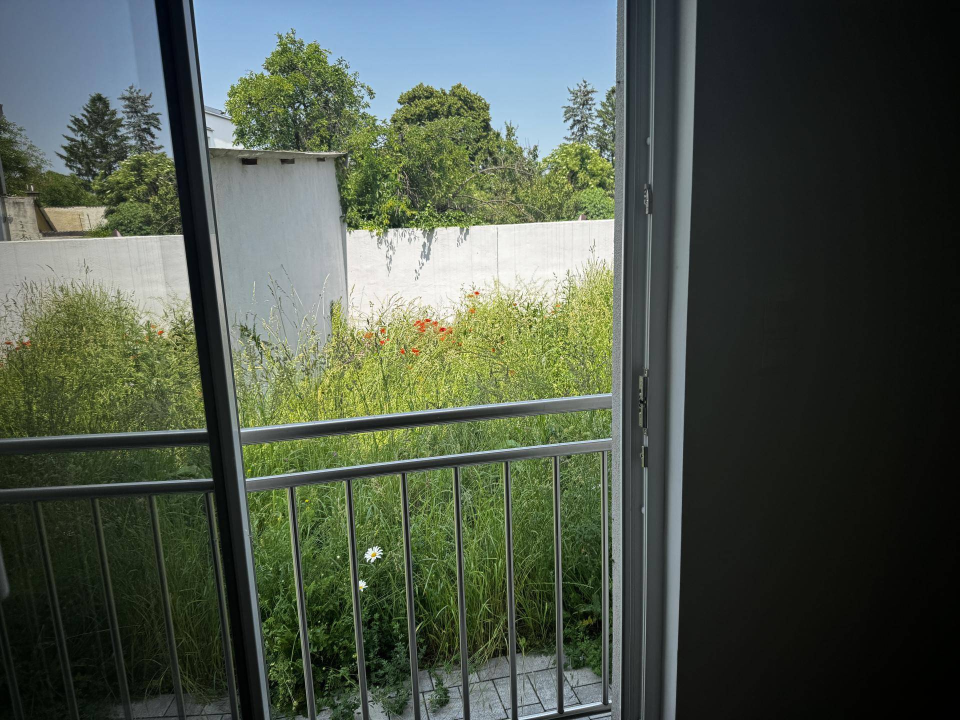 Blick in den Garten