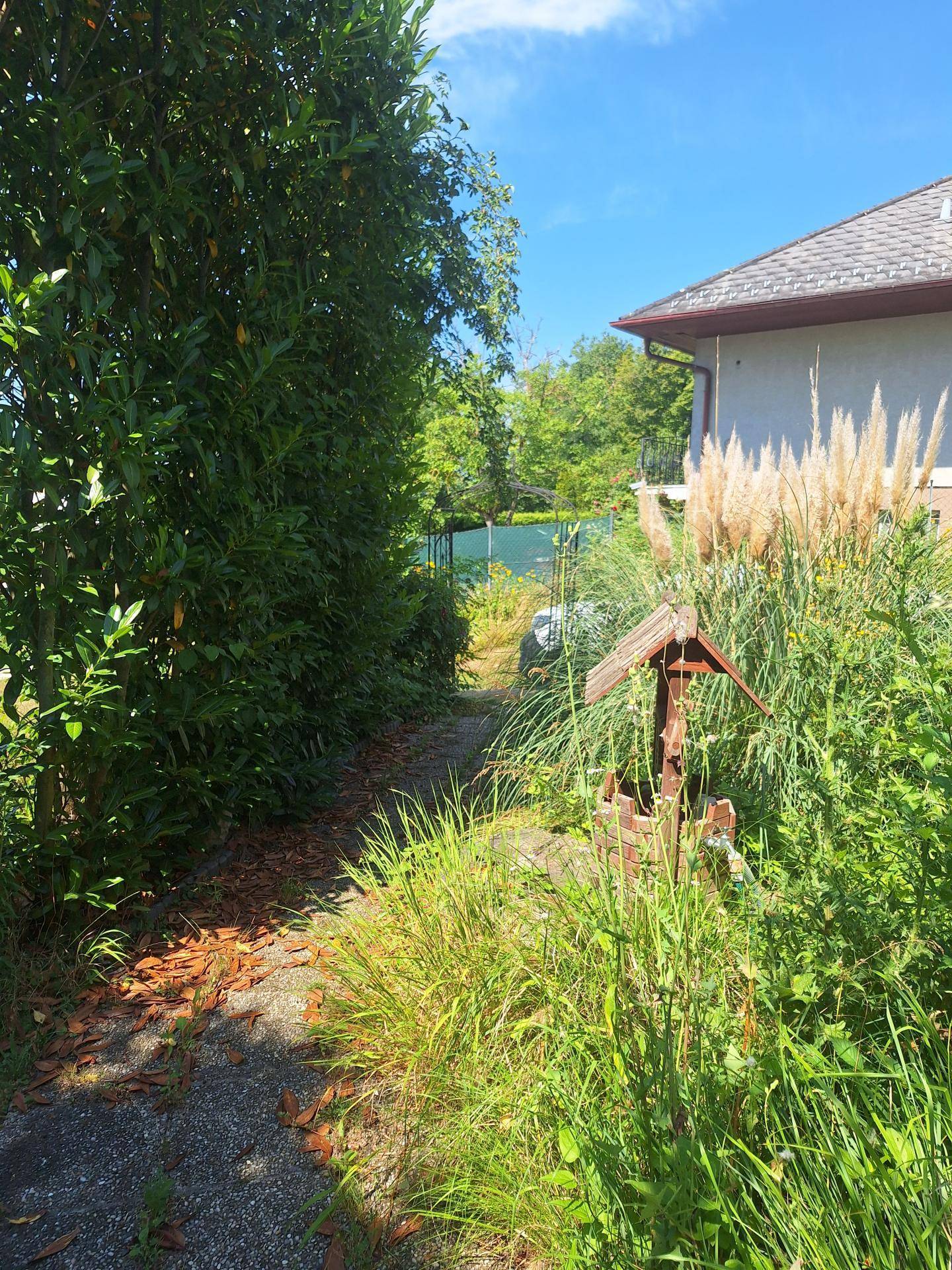 Ansicht23