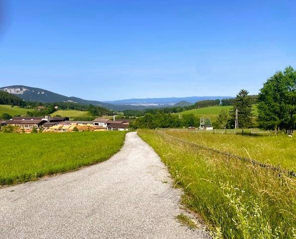 Zufahrtsstraße, Ausblick