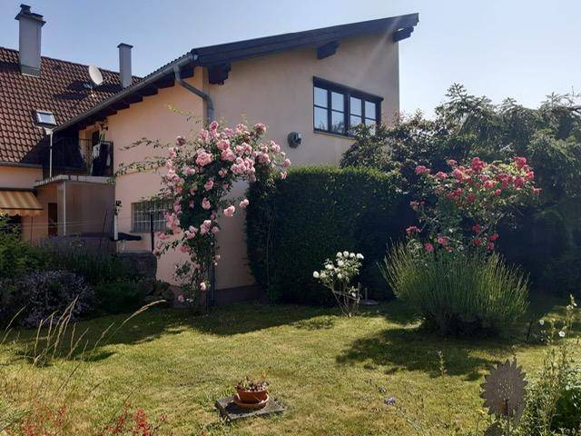Haus gartenseitig