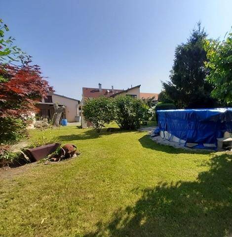 Garten und Pool