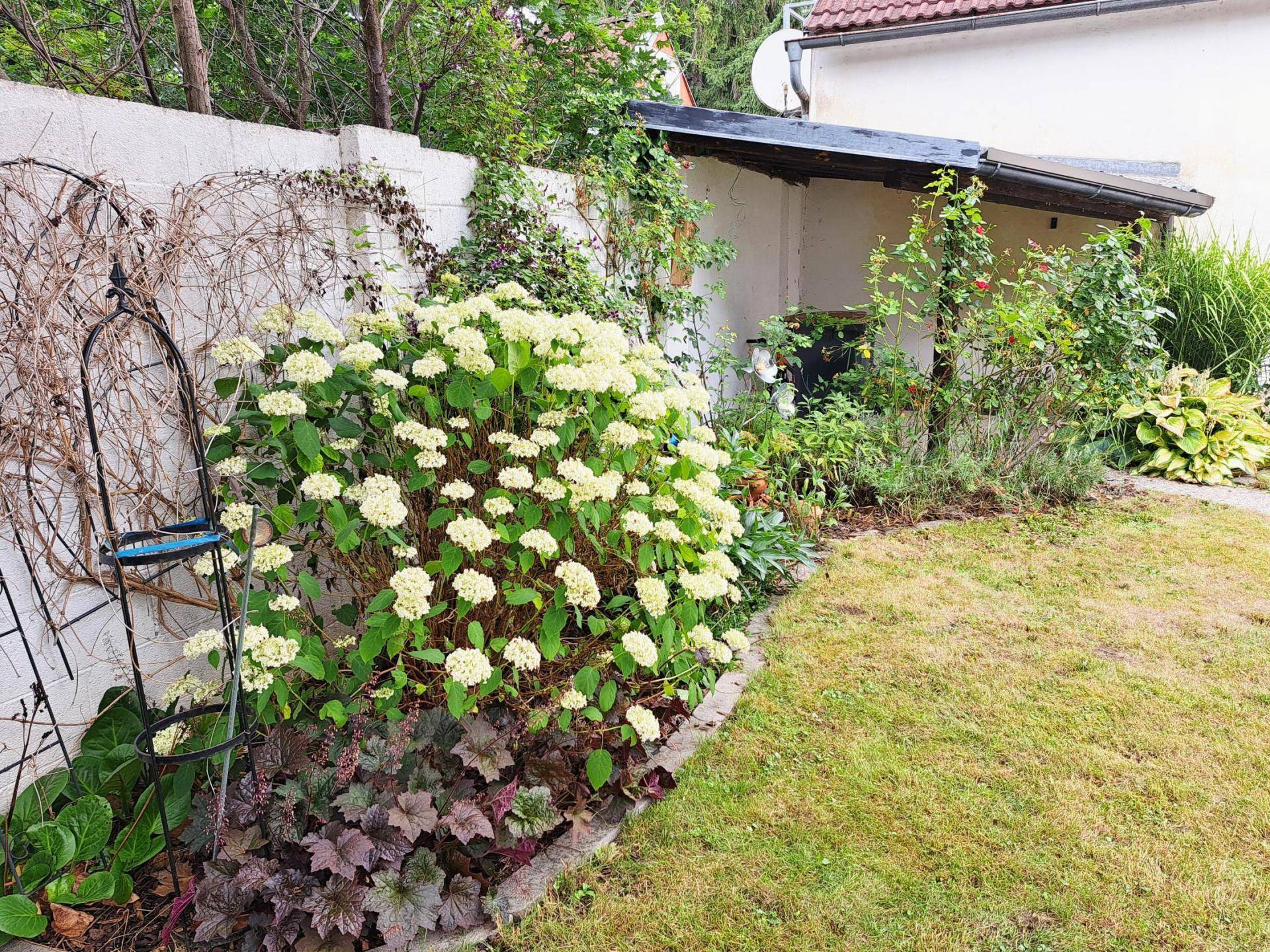 Garten I