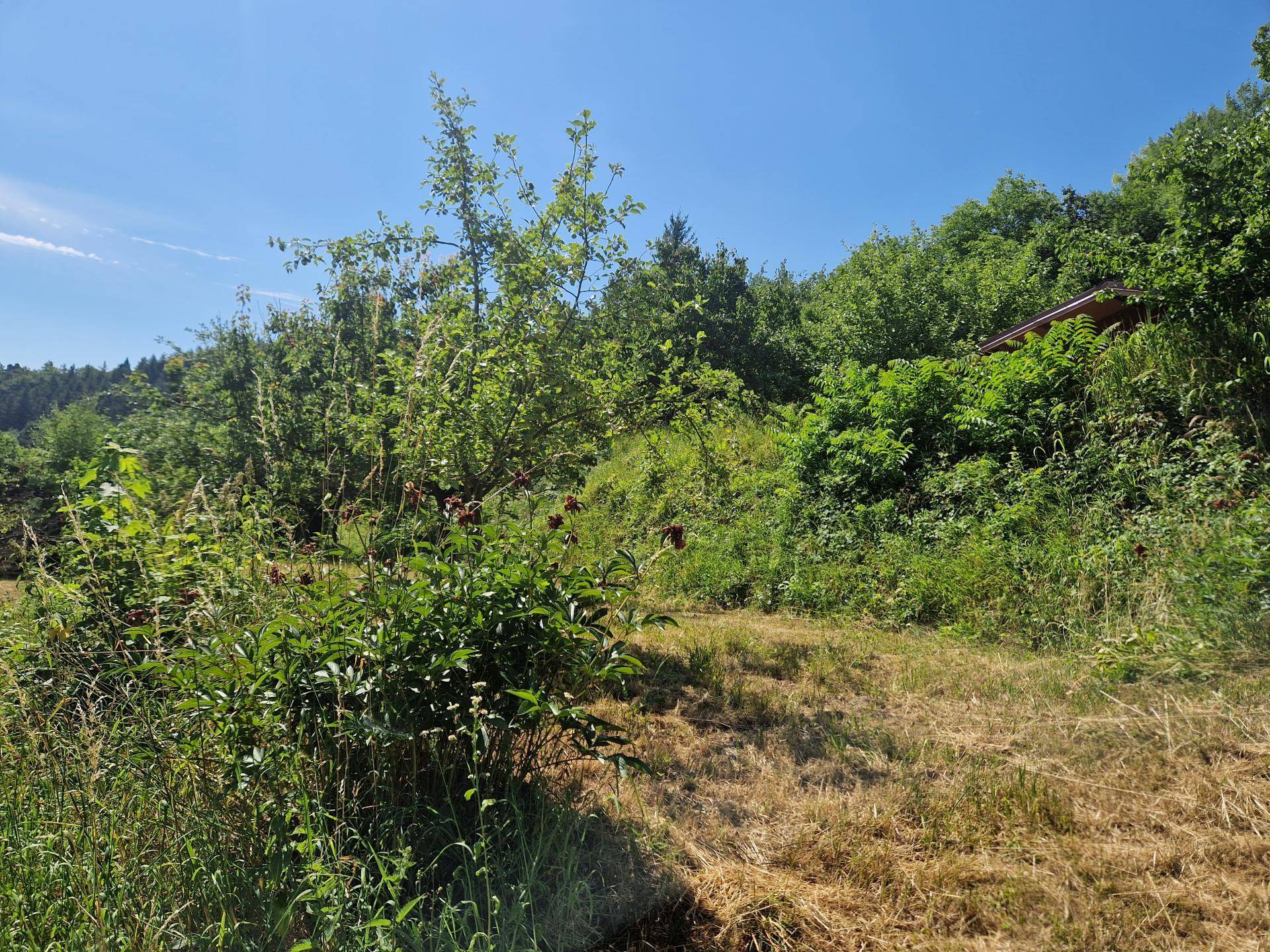 Ansicht7