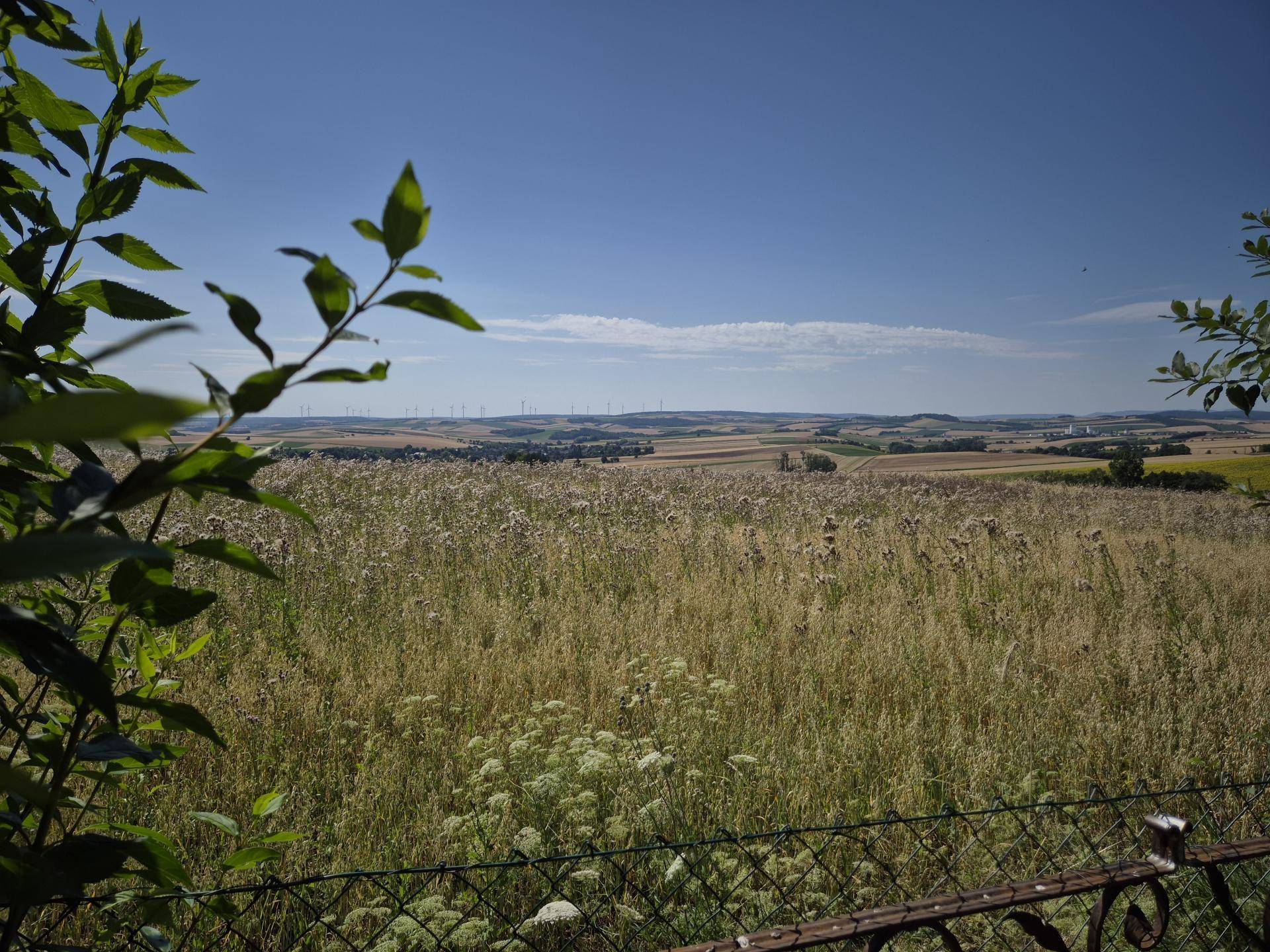 Weitläufiger Blick über Felder und ländliche Landschaft unter einem klaren blauen Himmel.