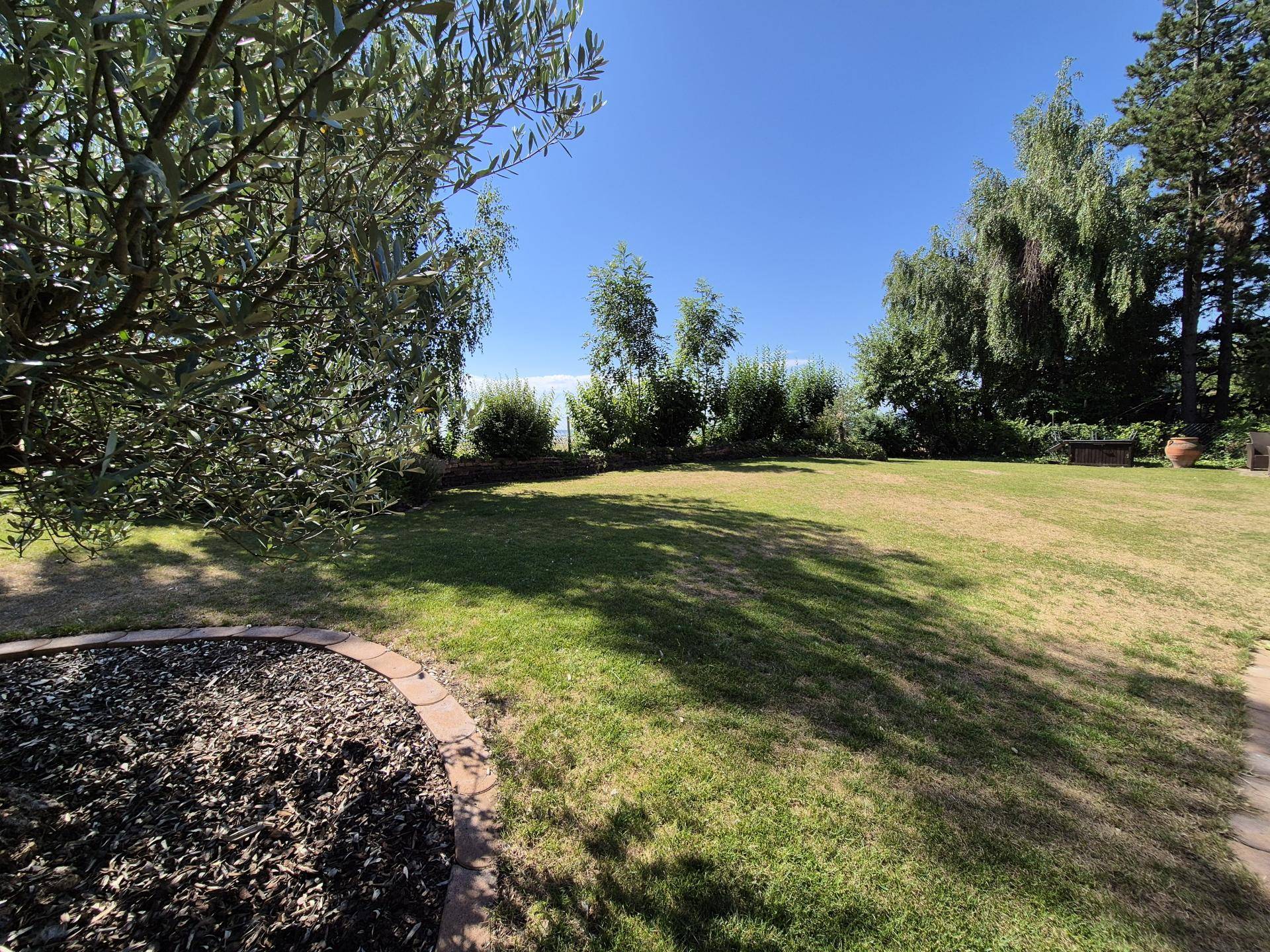 Sonniger, weitläufiger Garten mit gepflegtem Rasen und schattenspendenden Bäumen unter blauem Himmel.