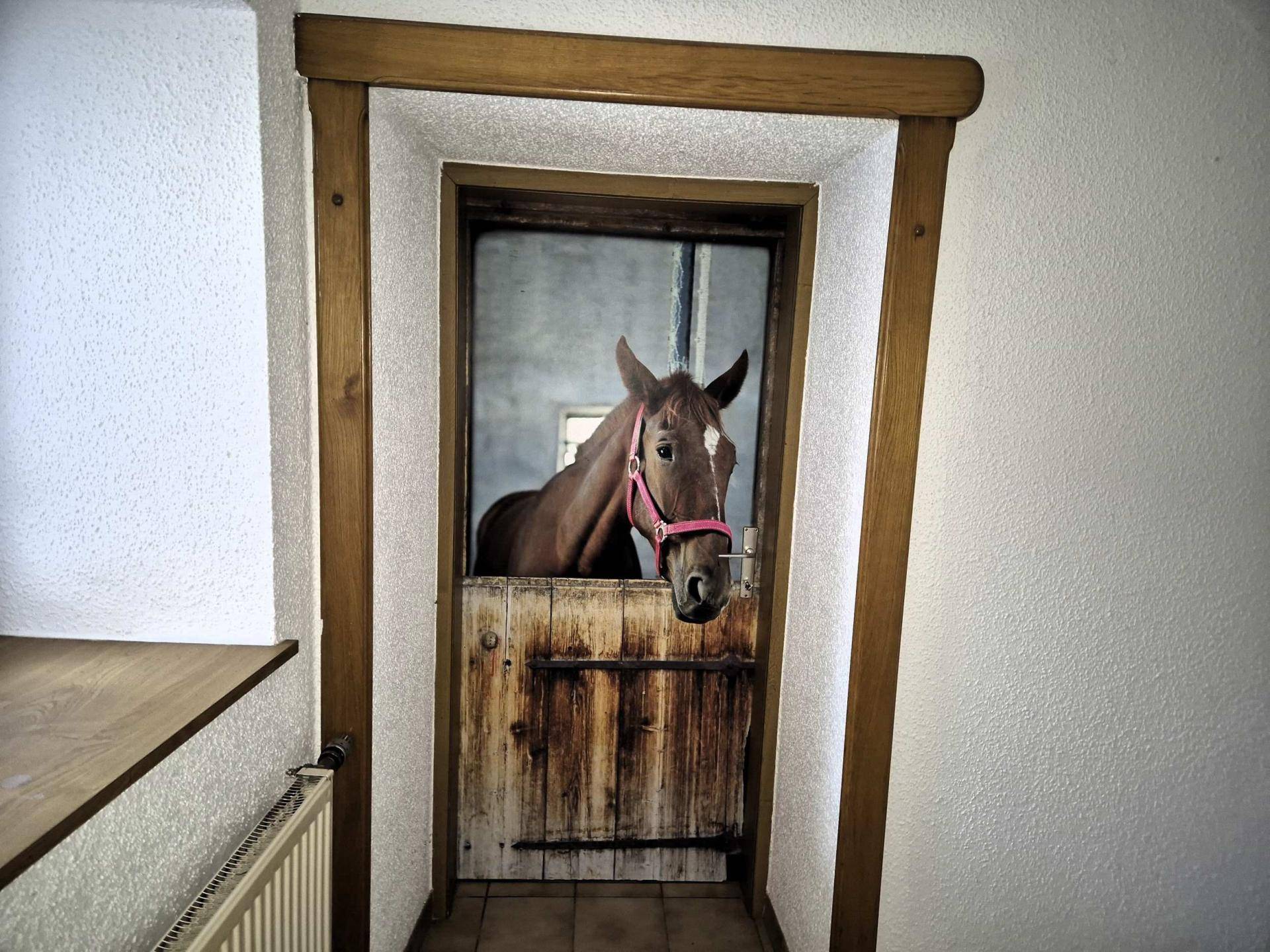 Zugang Wirtschaftstrakt