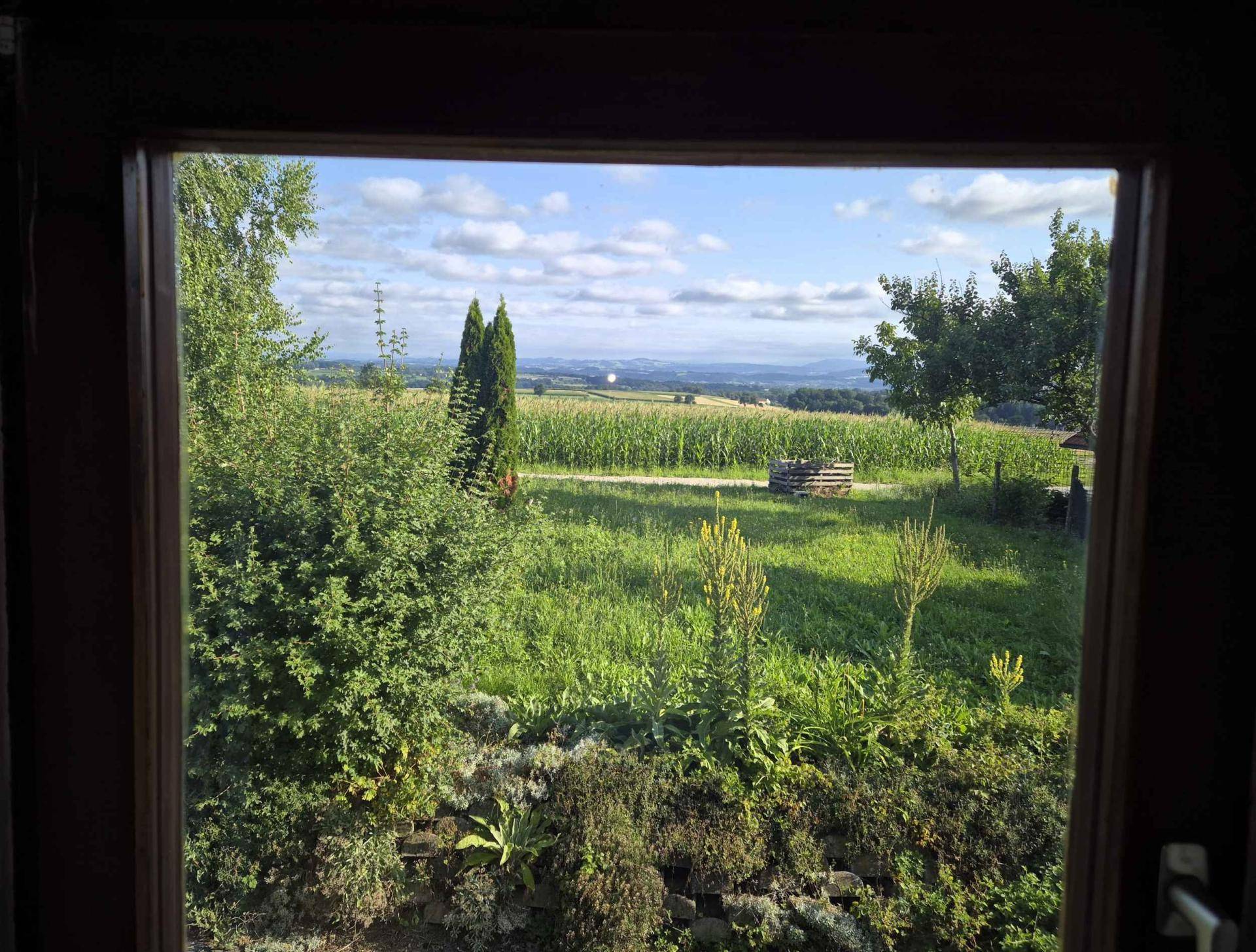 Ausblick OG