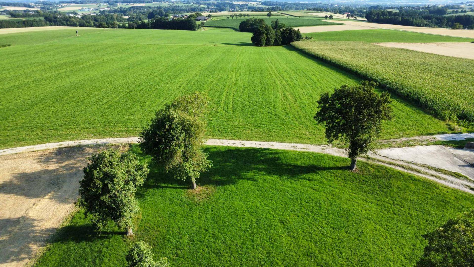 Aussicht