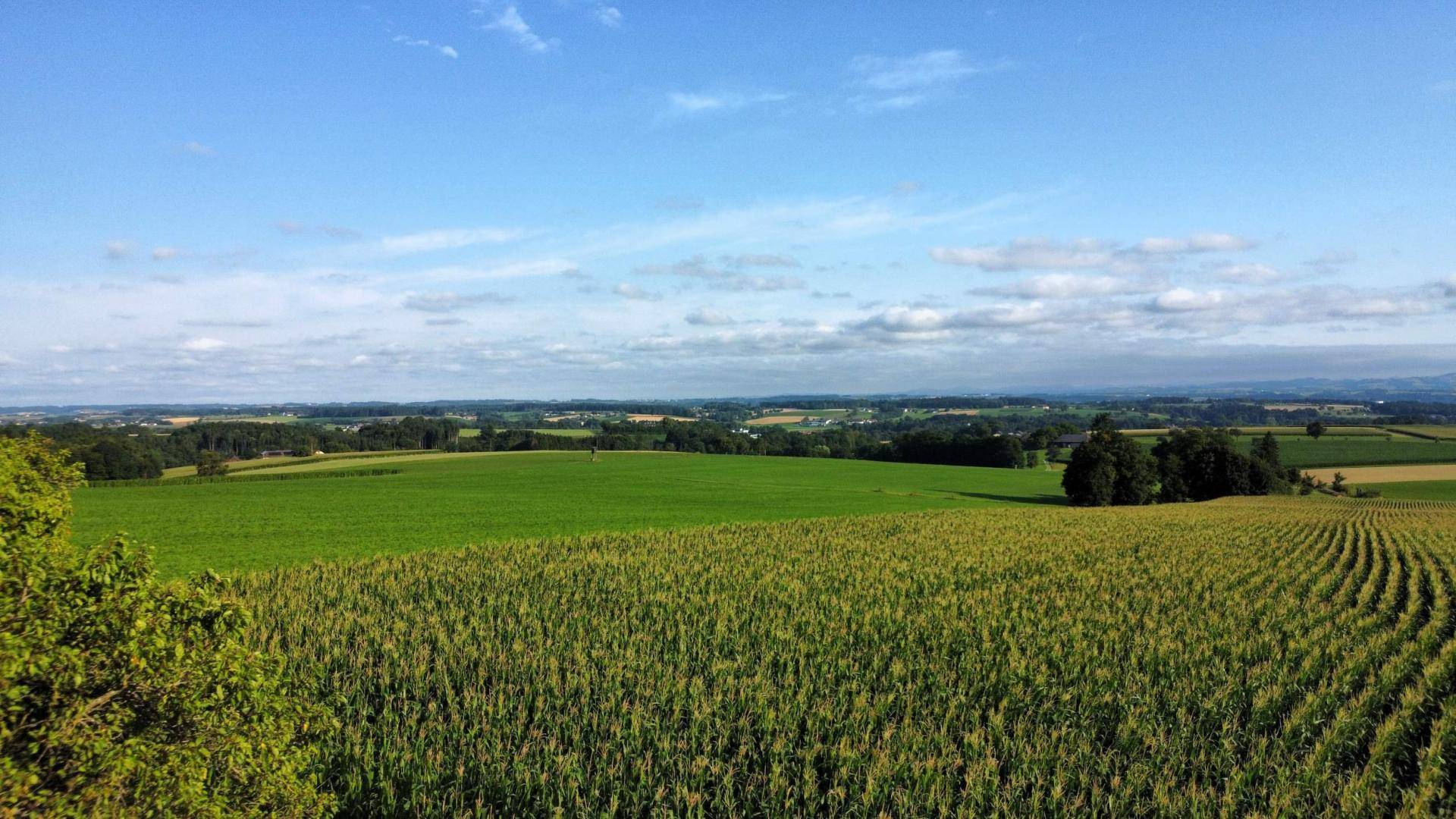 Aussicht