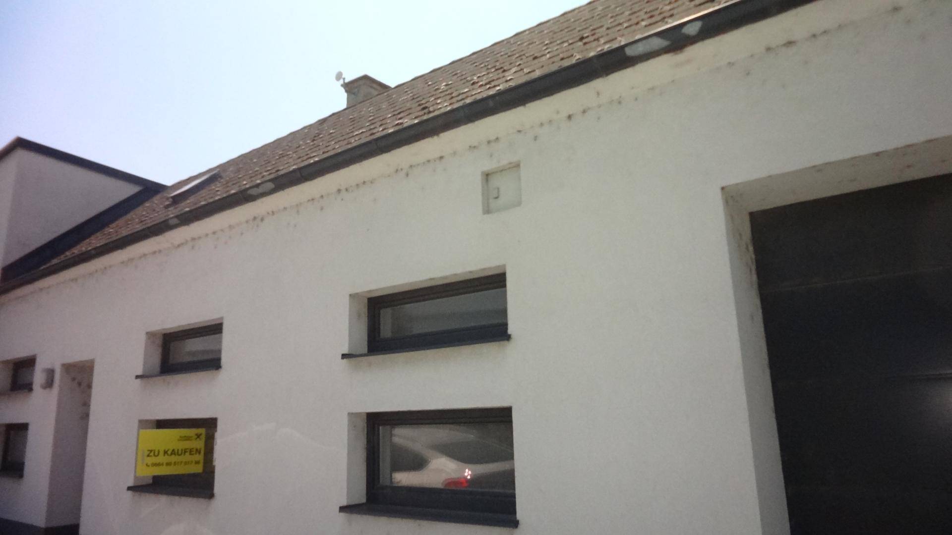 Ansicht
