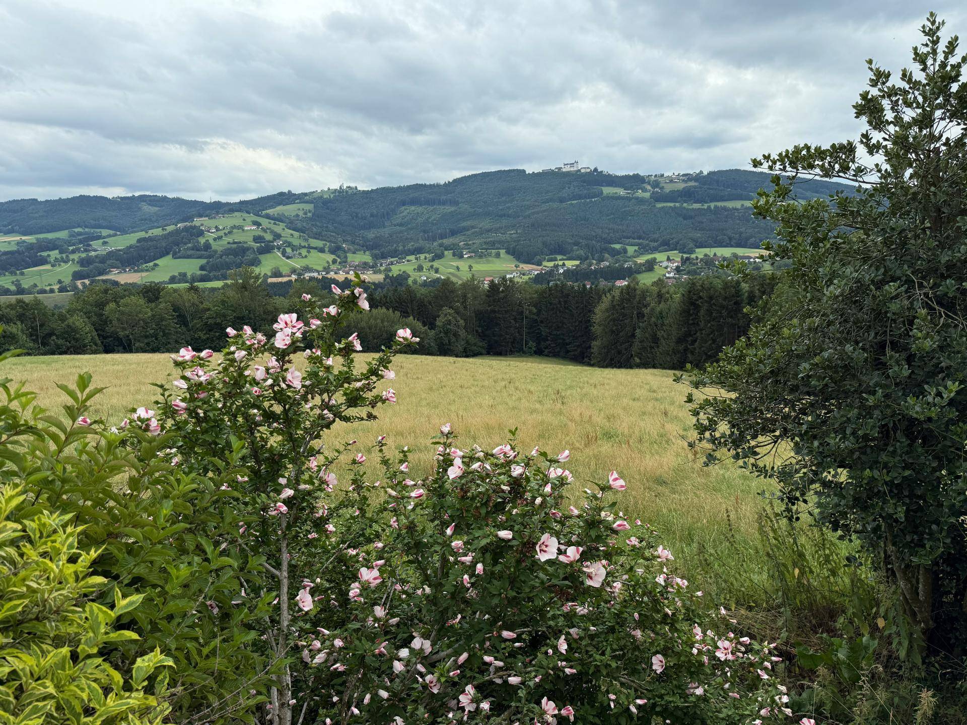 Garten / Feld