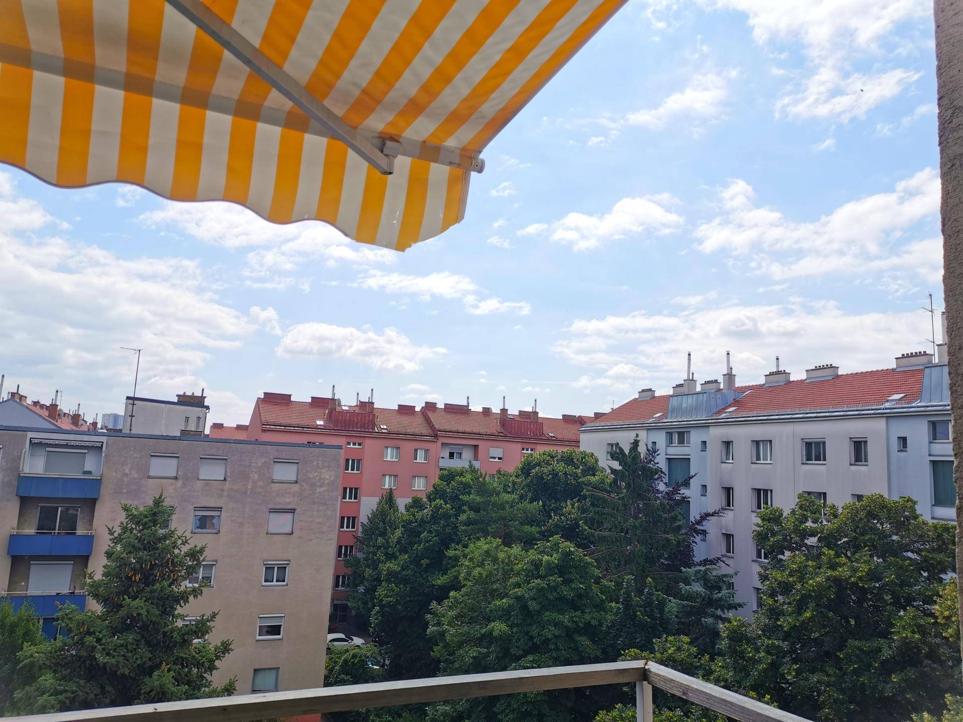 Hofblick