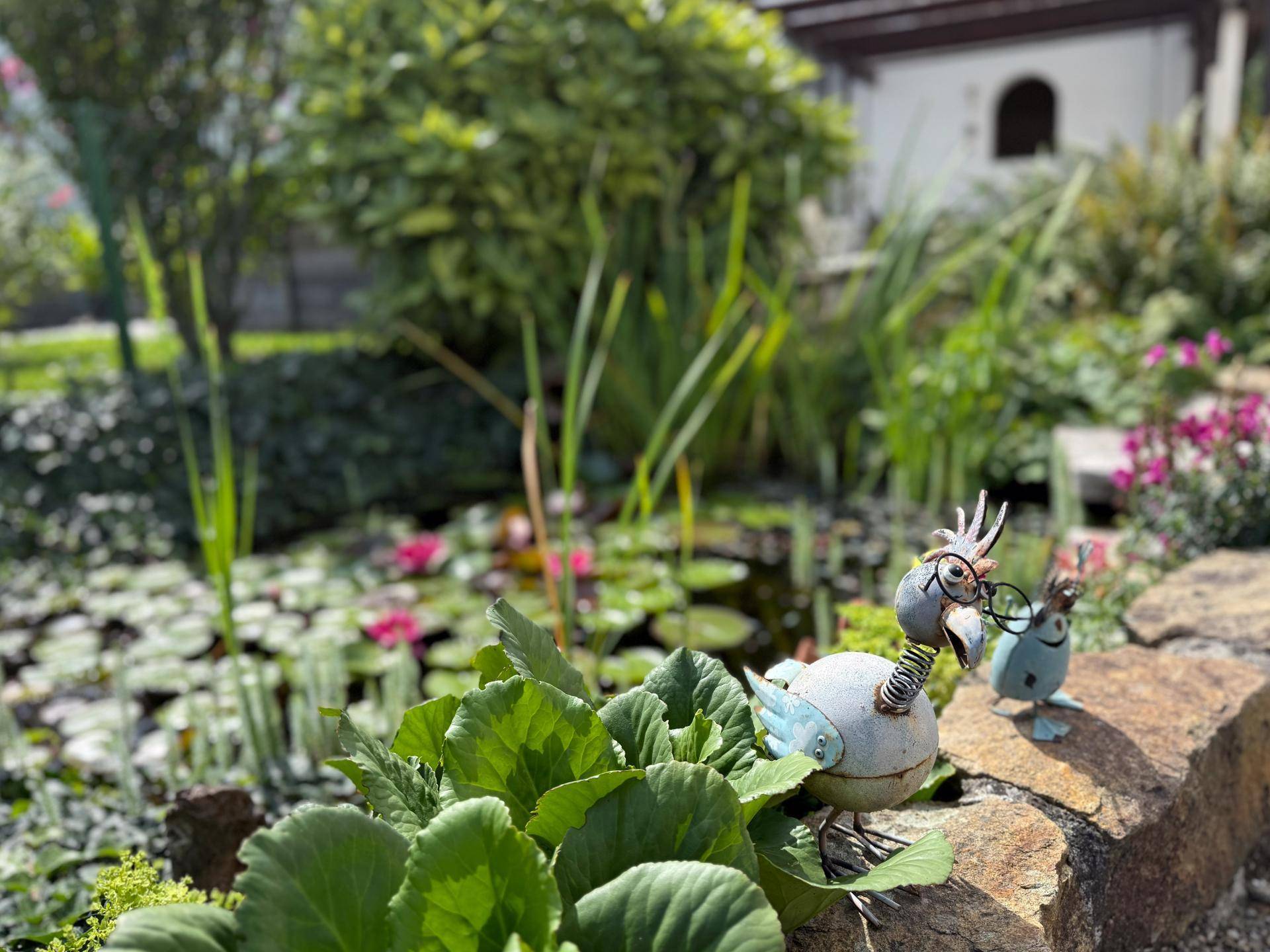 Teich im Garten