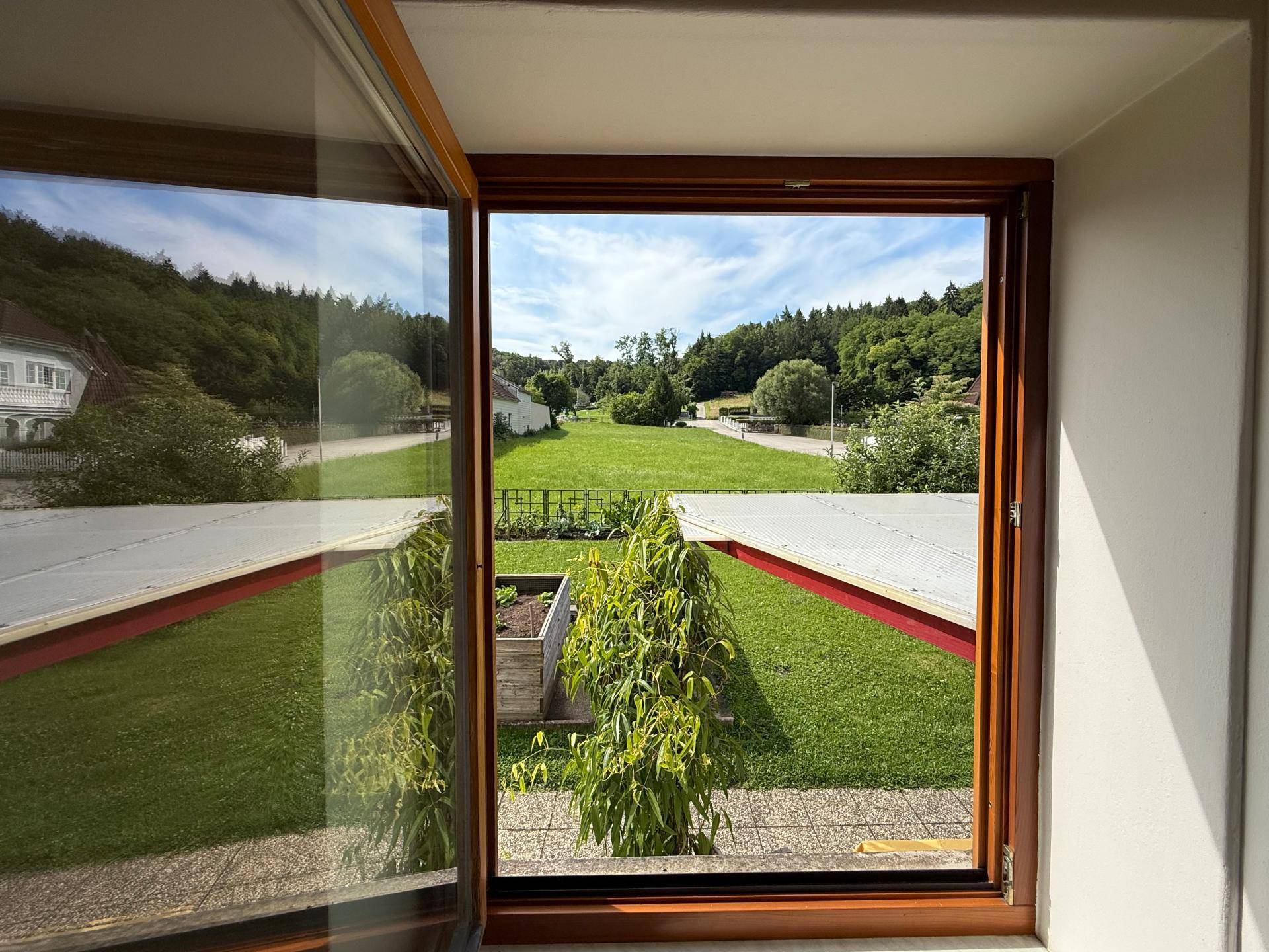 Blick in Garten aus Top 2