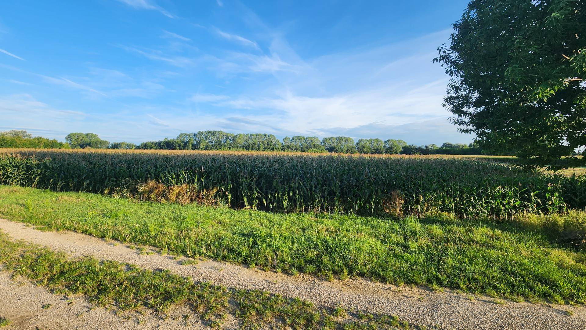 Ansicht2