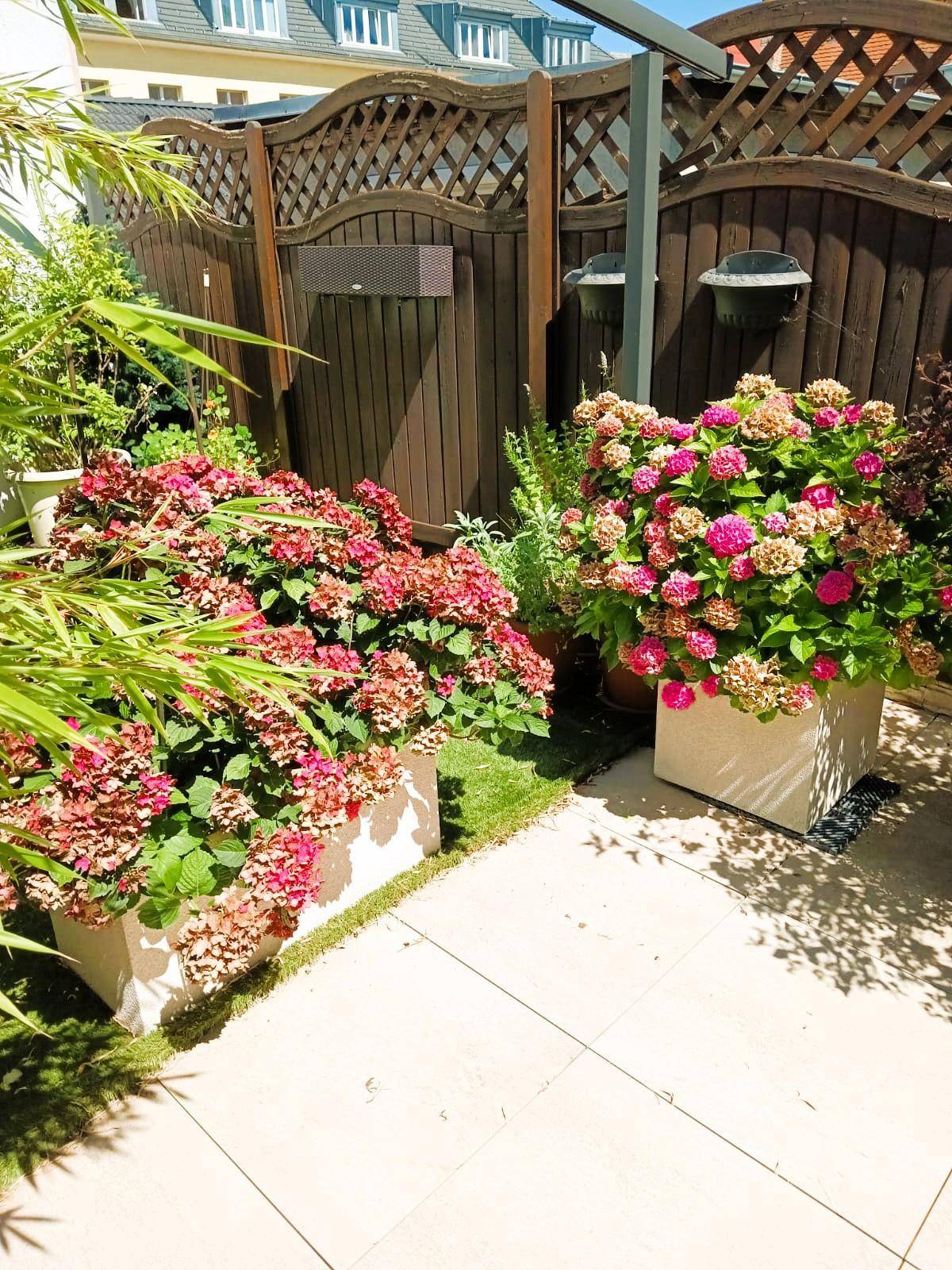 Dachterrassse Gartendetail