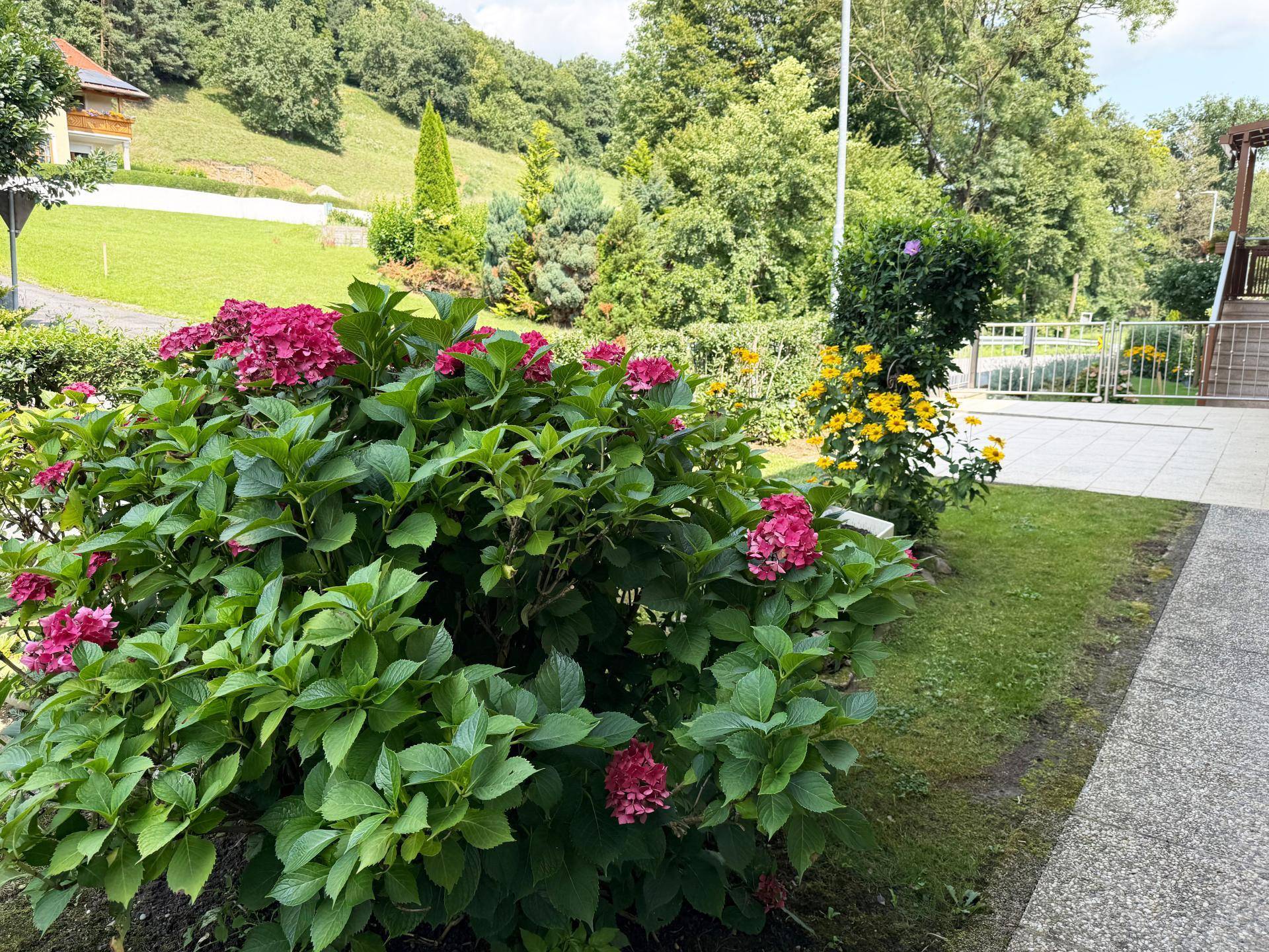 Eingangsbereich - Garten bei Haus