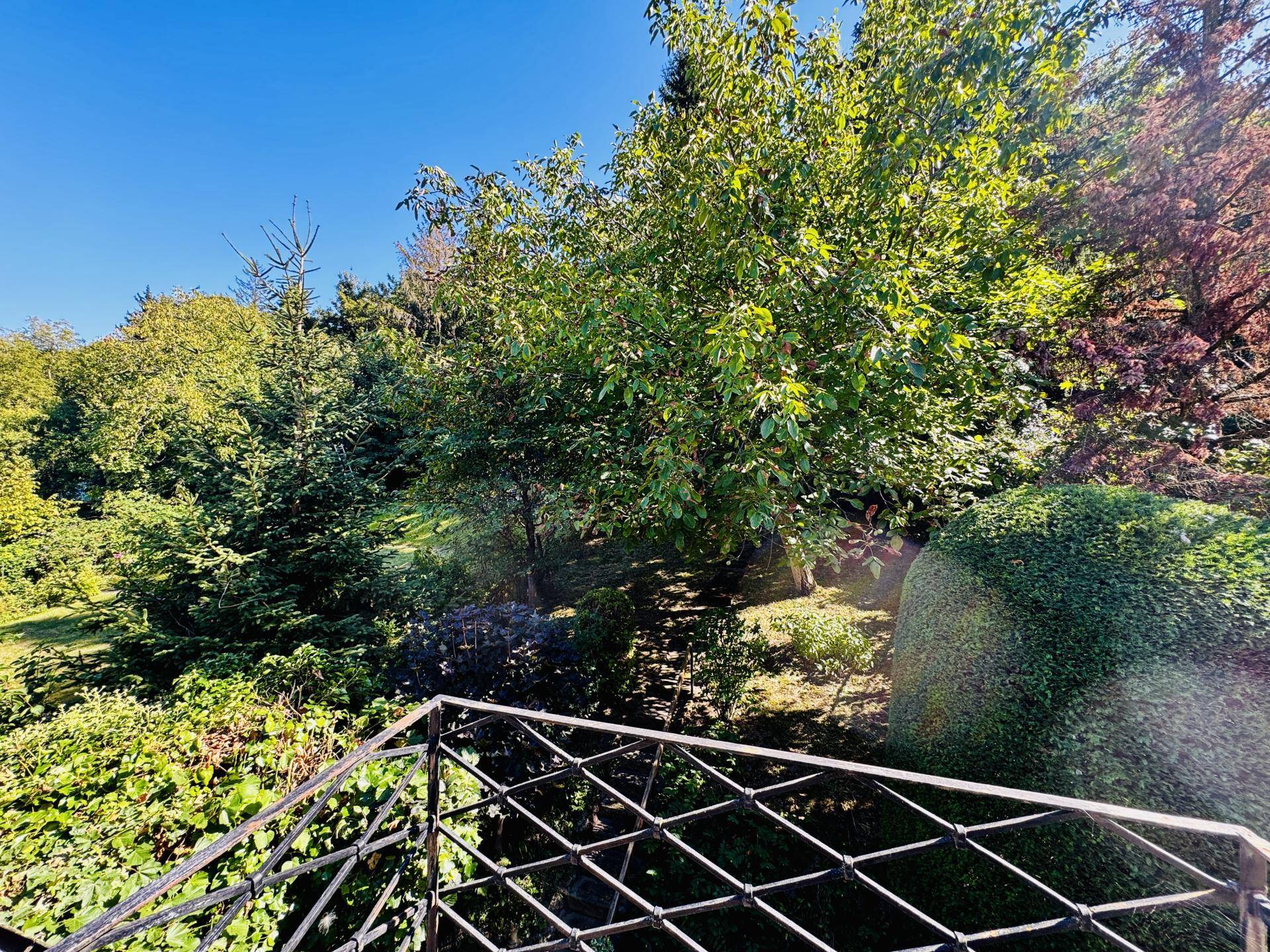 Aussicht gartenseitig