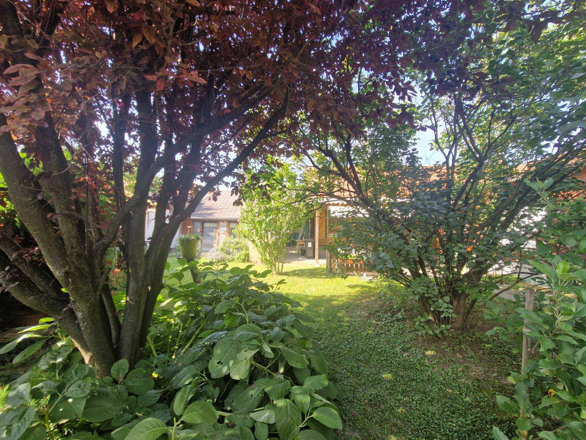 Garten2
