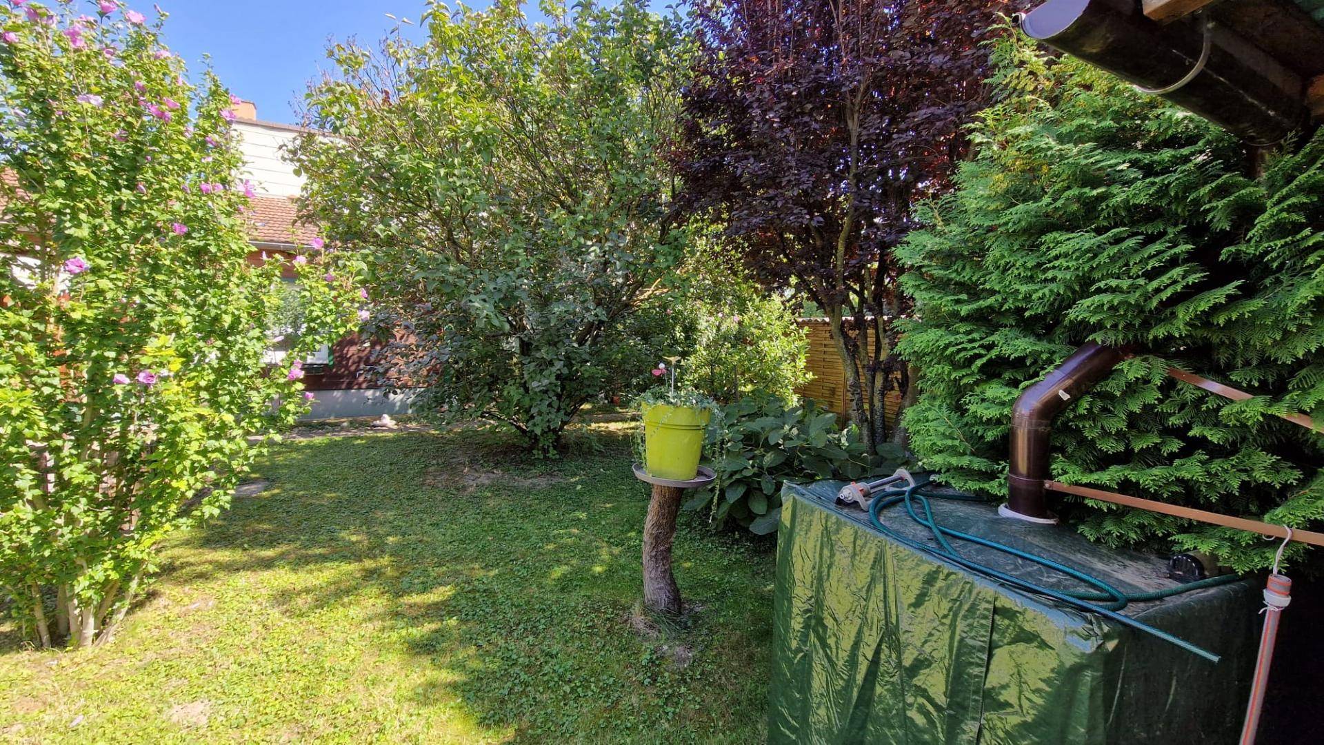Garten1
