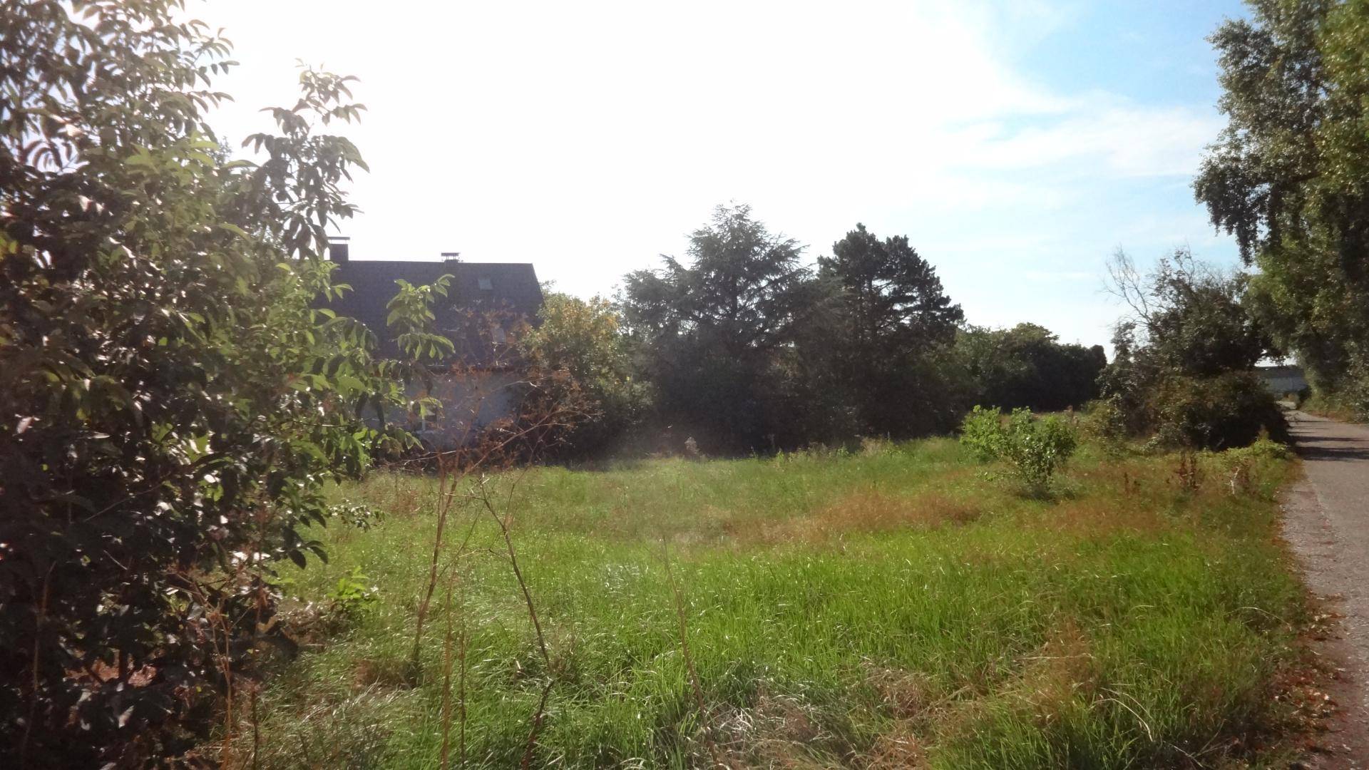 DSC04274